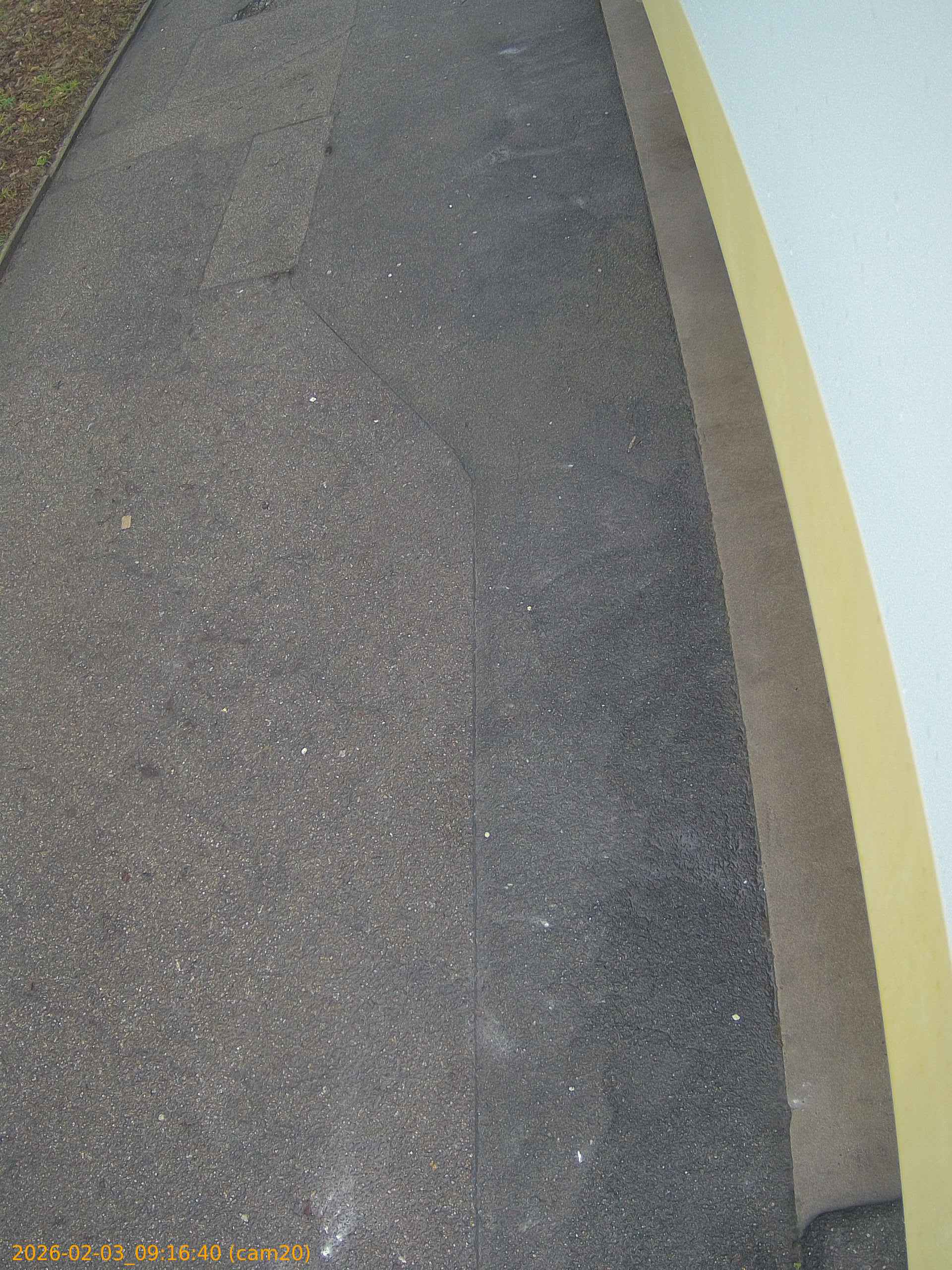 thumbnail_20260203091640