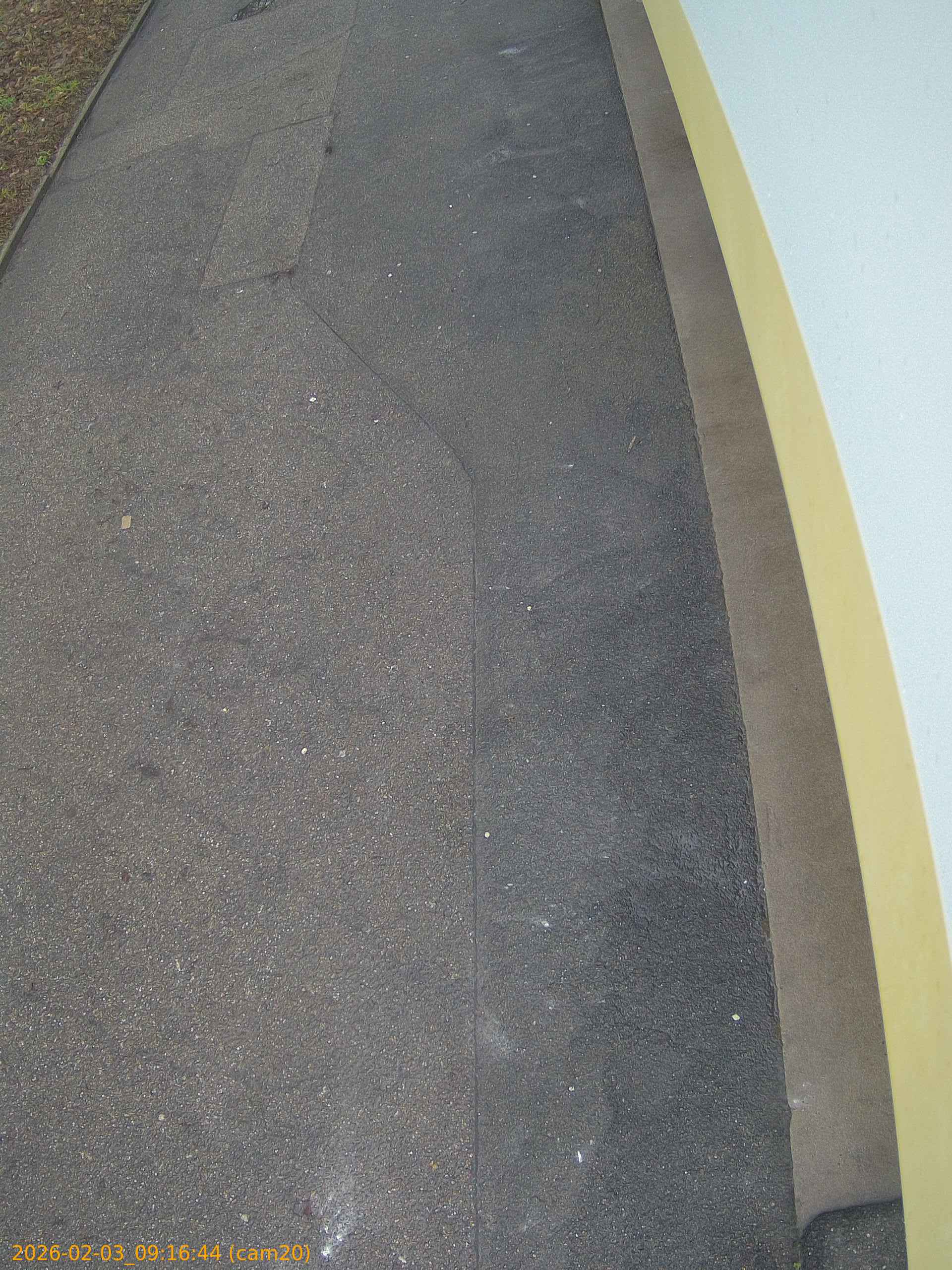 thumbnail_20260203091644