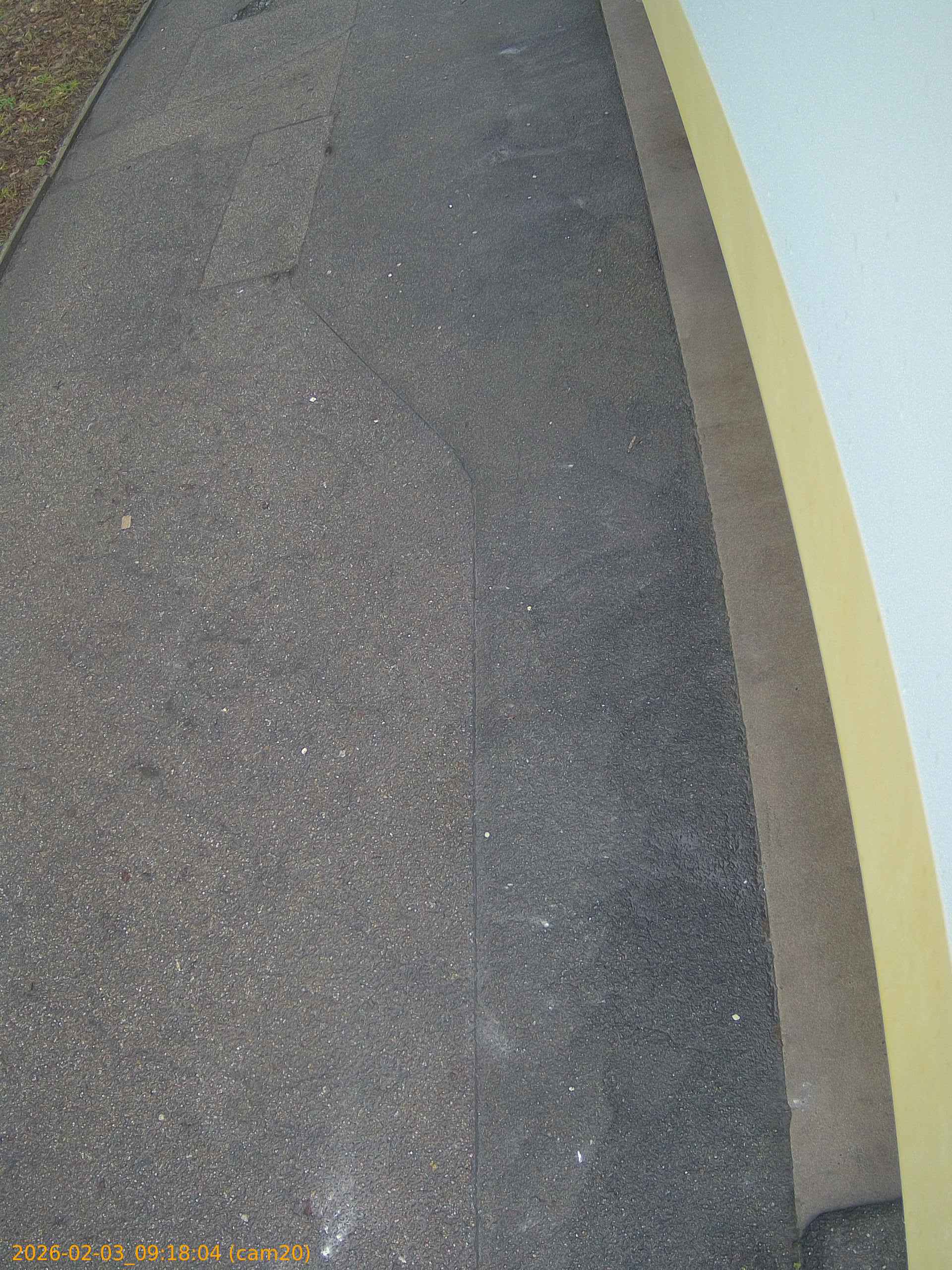 thumbnail_20260203091804