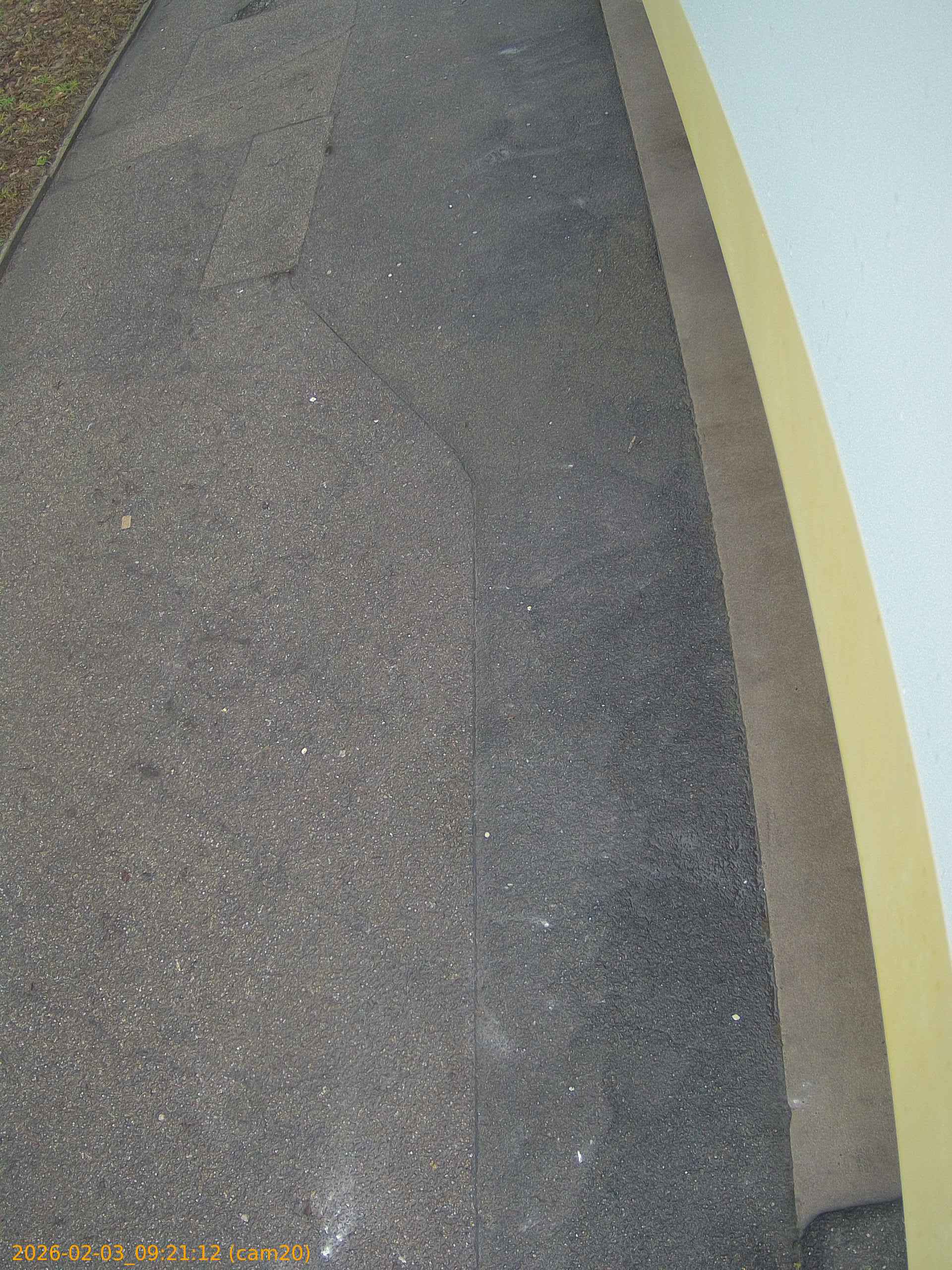 thumbnail_20260203092112