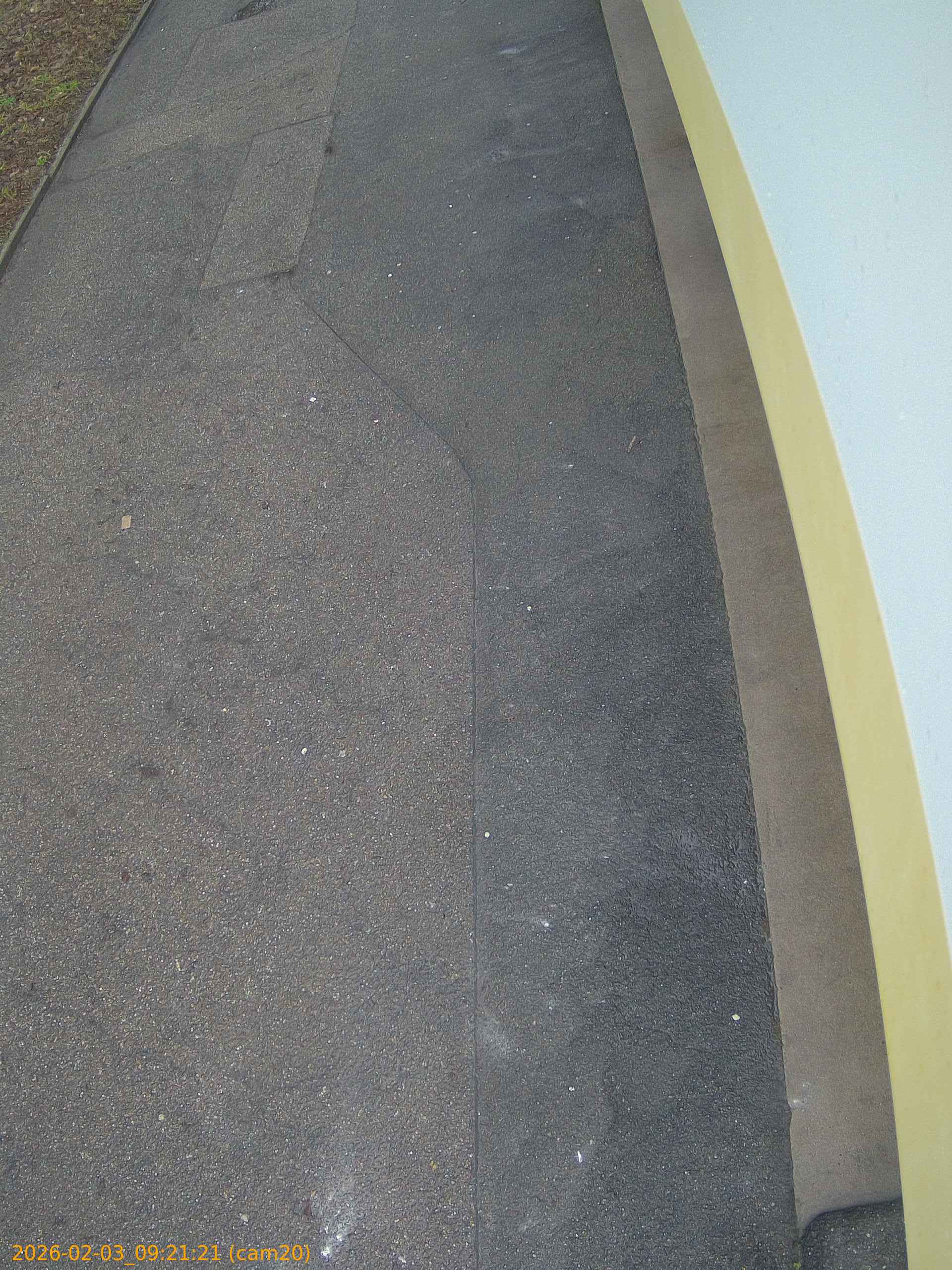 thumbnail_20260203092121