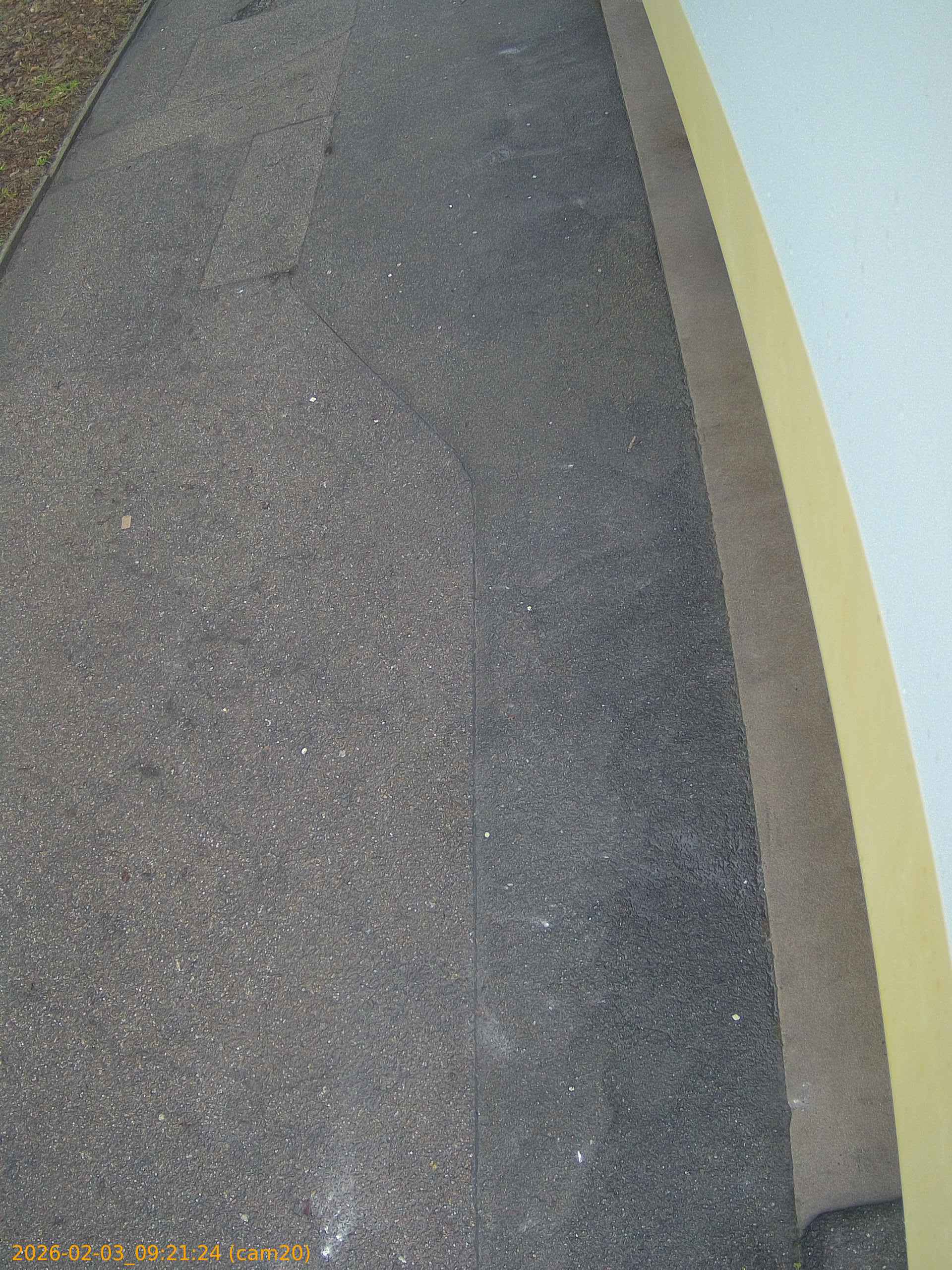 thumbnail_20260203092123