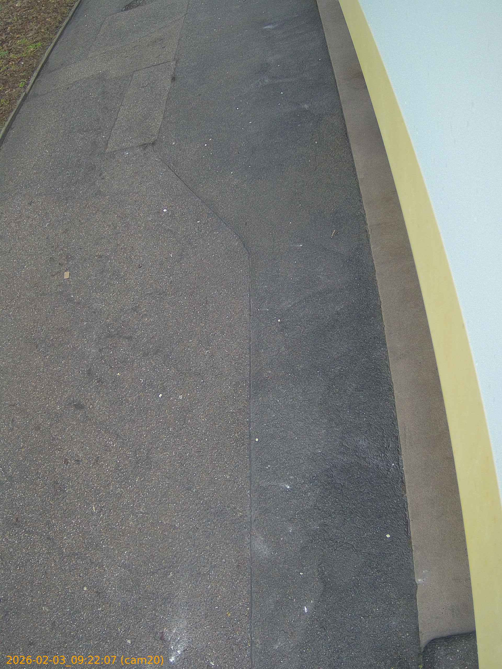 thumbnail_20260203092207