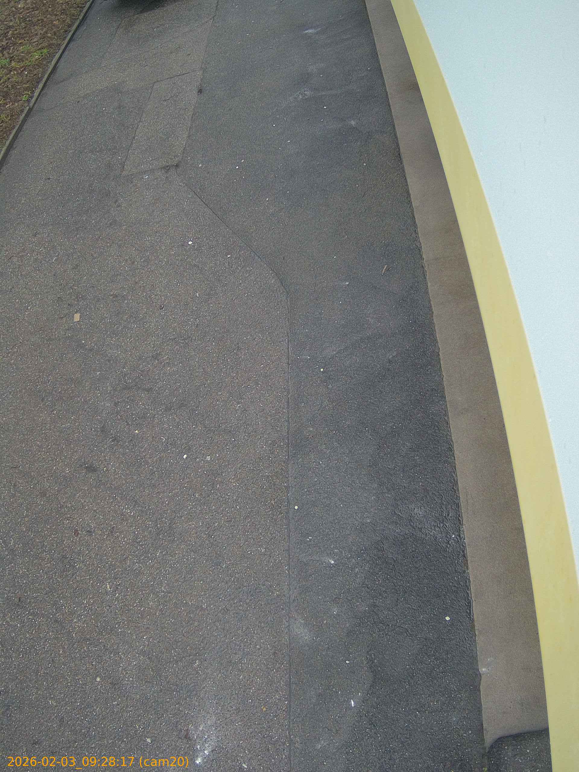 thumbnail_20260203092817