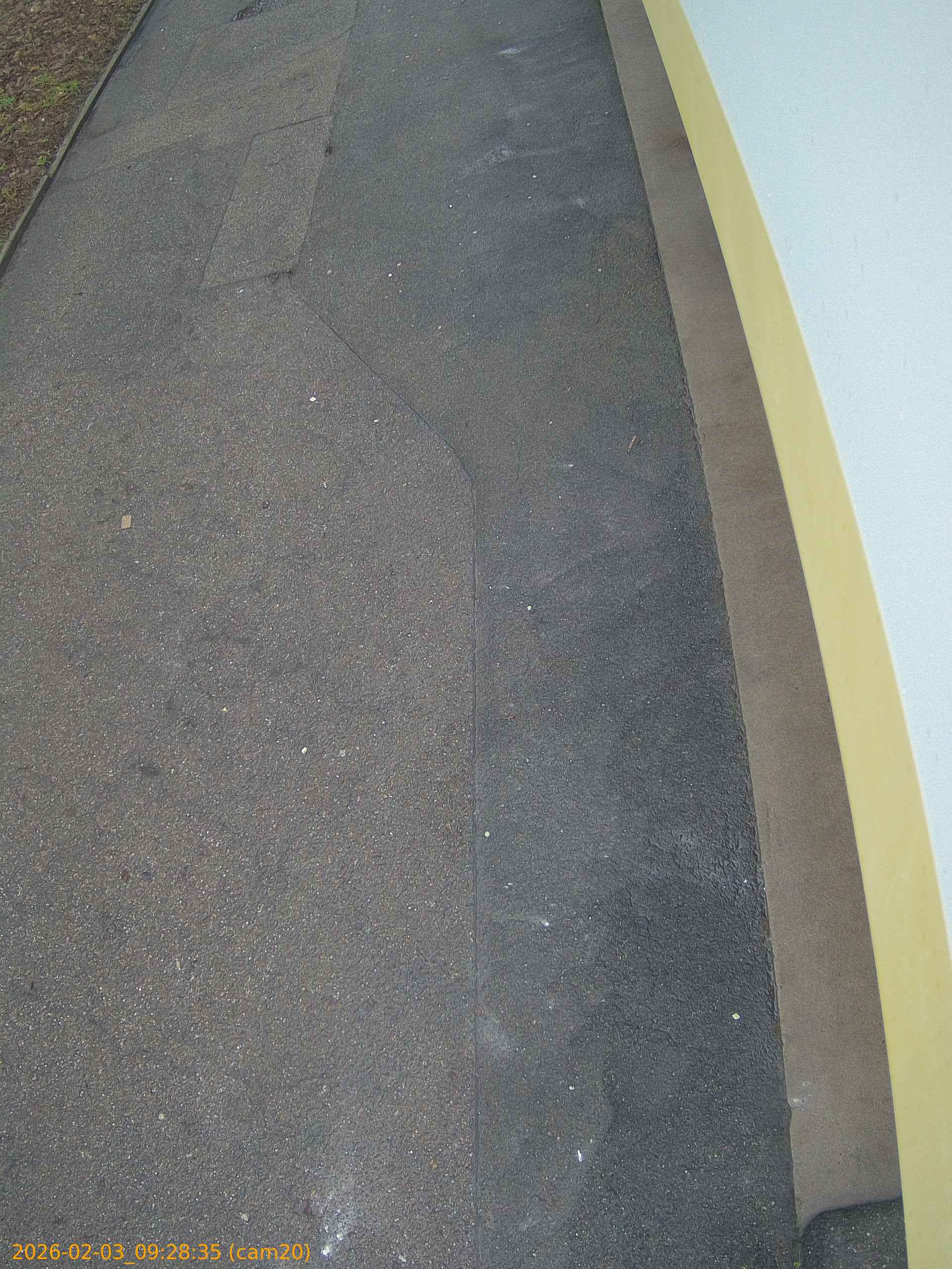 thumbnail_20260203092835