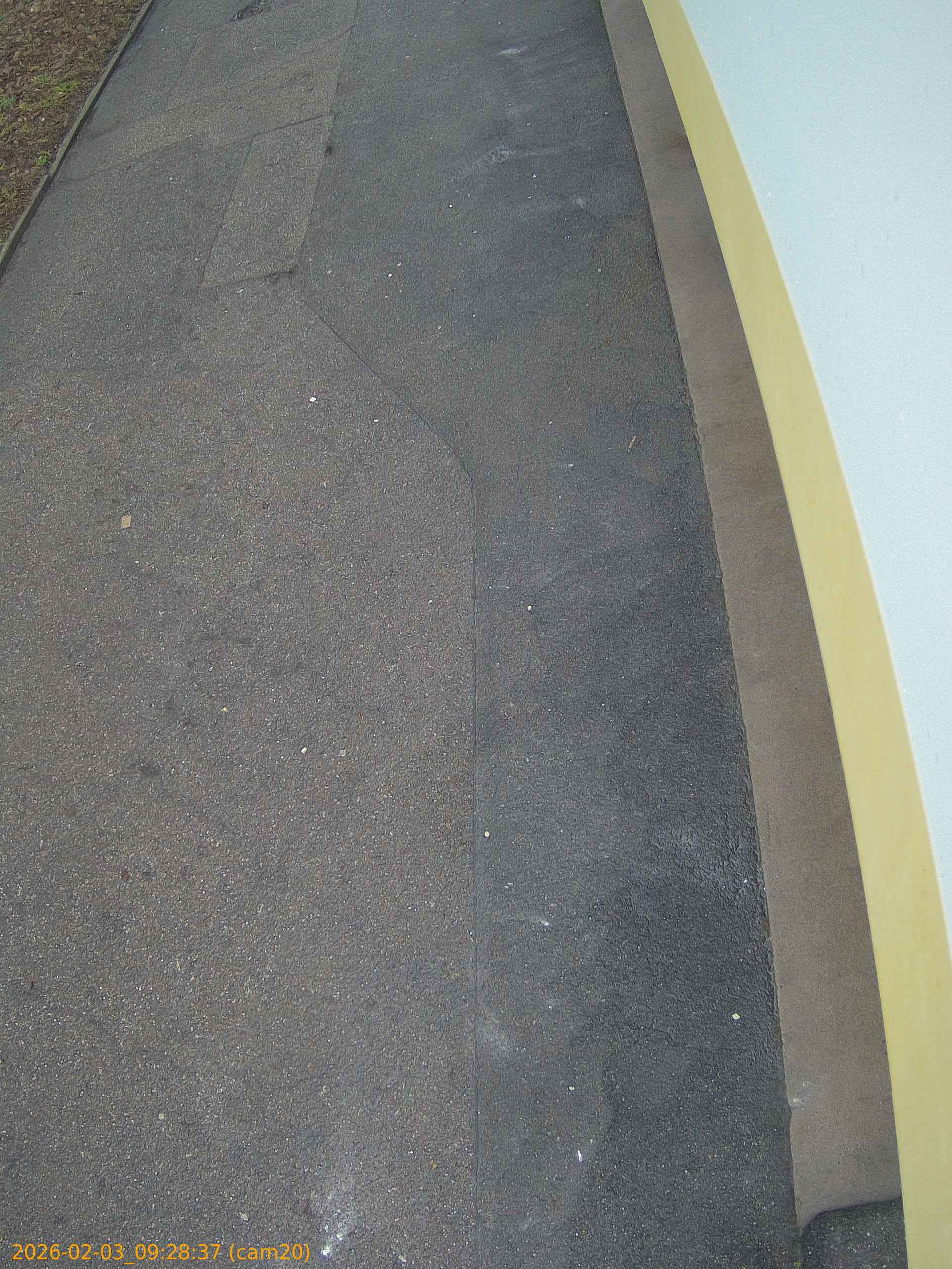 thumbnail_20260203092837