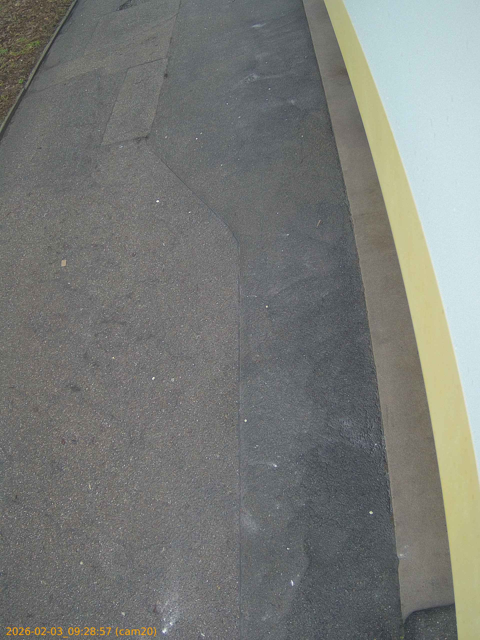 thumbnail_20260203092857