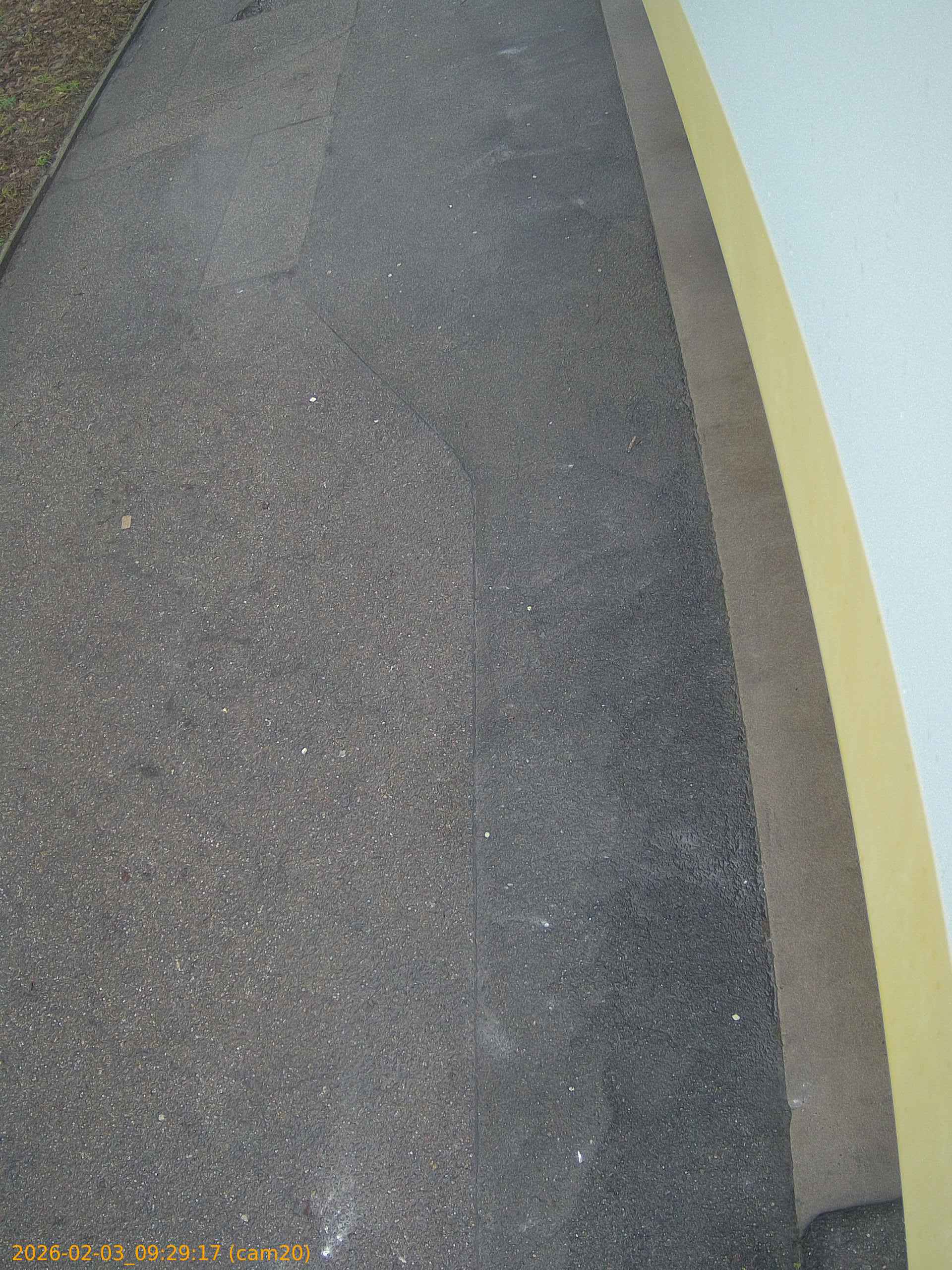 thumbnail_20260203092917