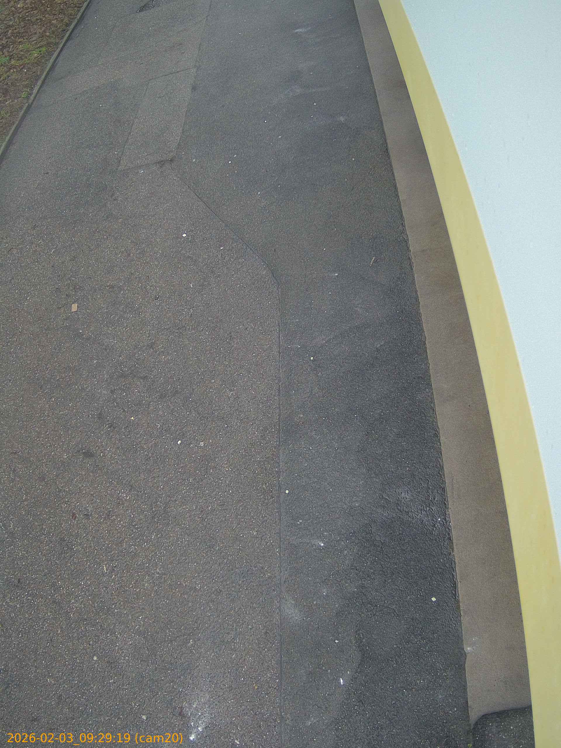 thumbnail_20260203092919