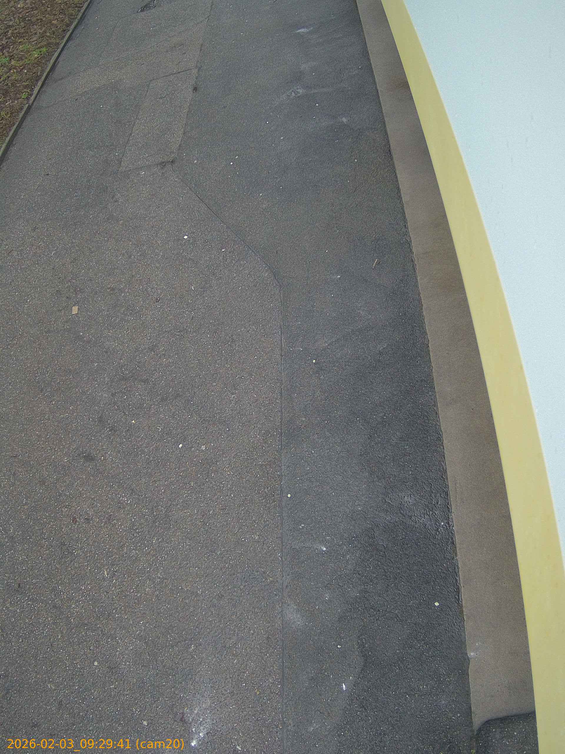 thumbnail_20260203092941