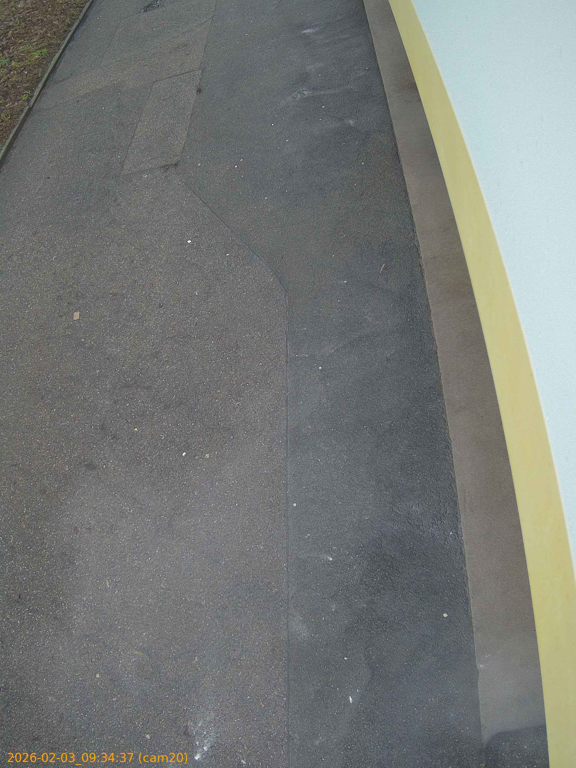 thumbnail_20260203093437