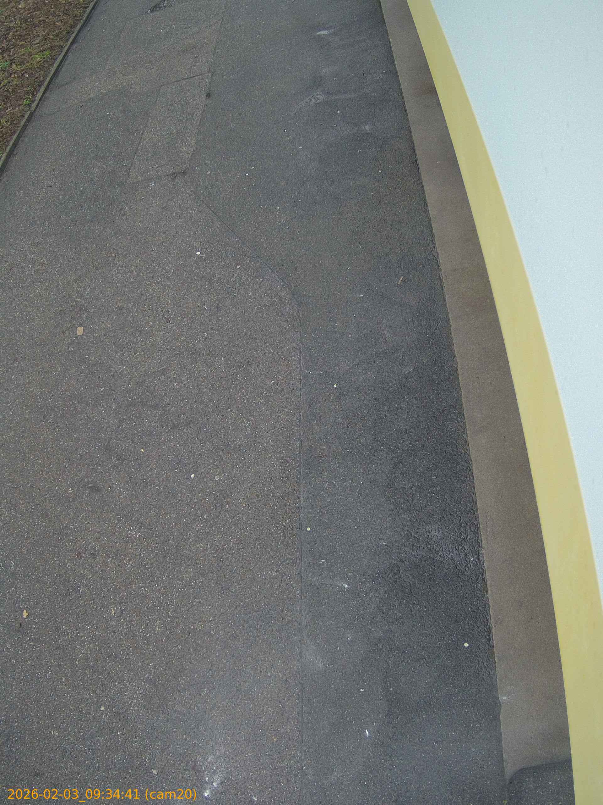 thumbnail_20260203093441