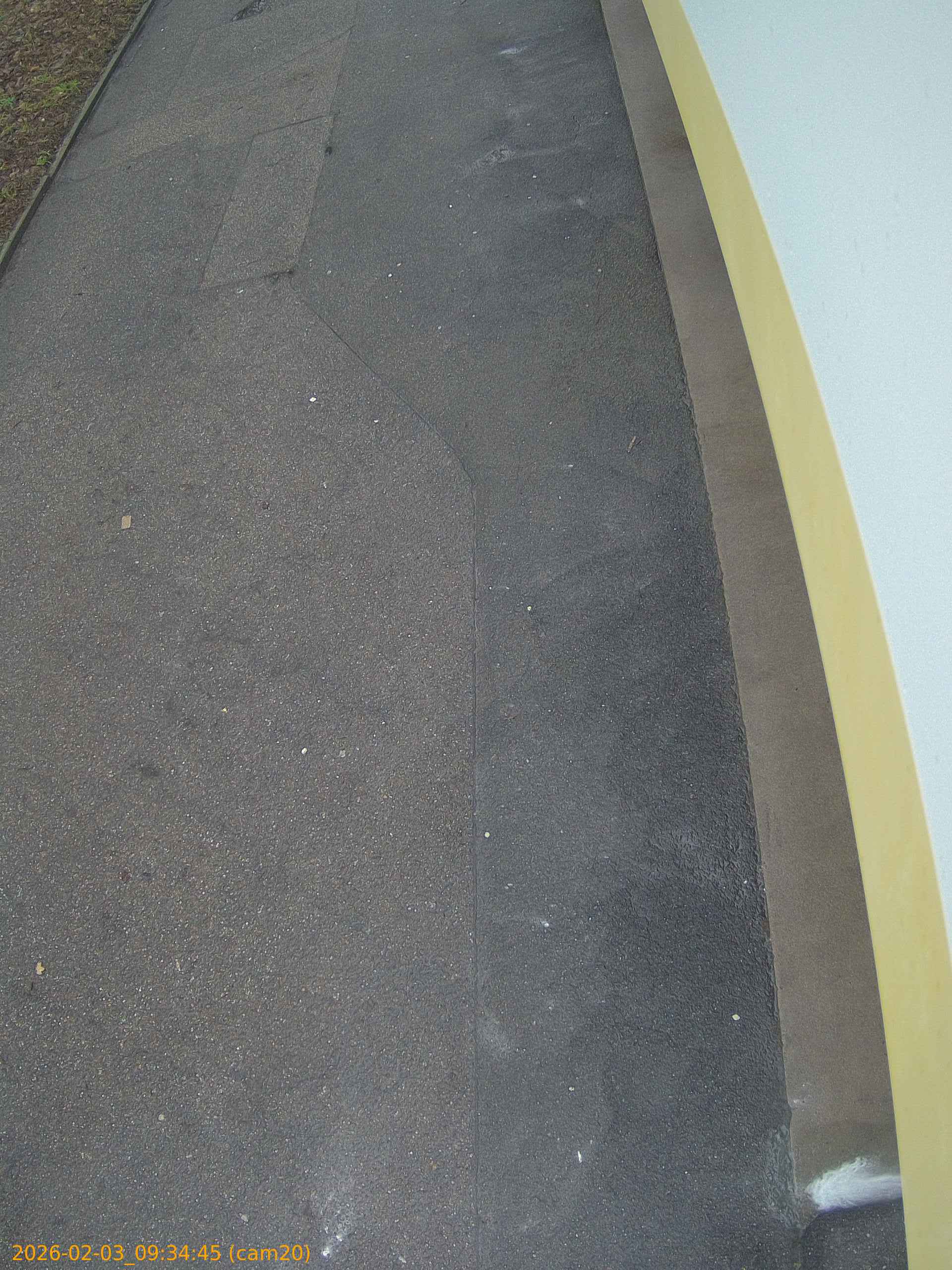 thumbnail_20260203093445