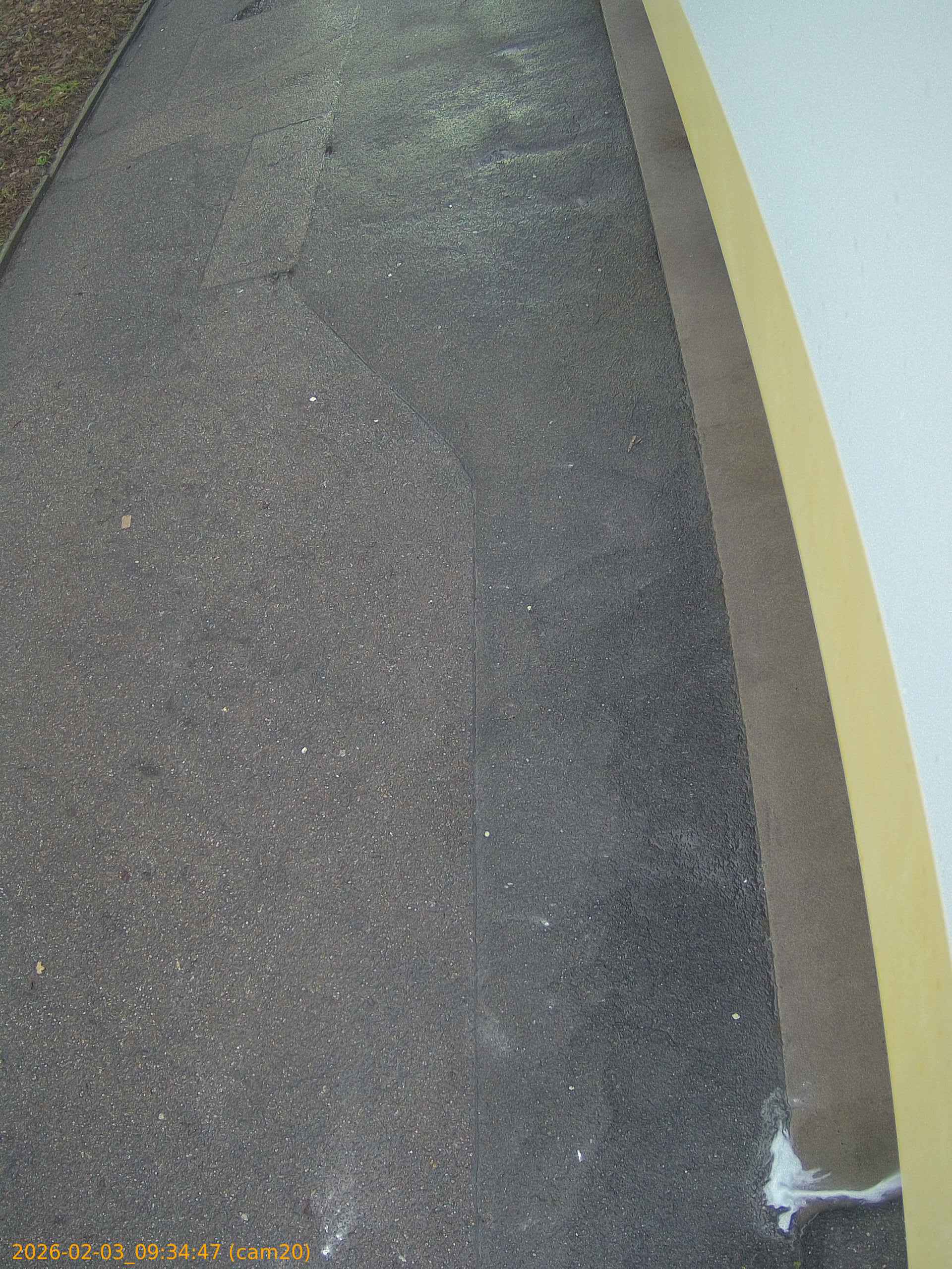 thumbnail_20260203093447