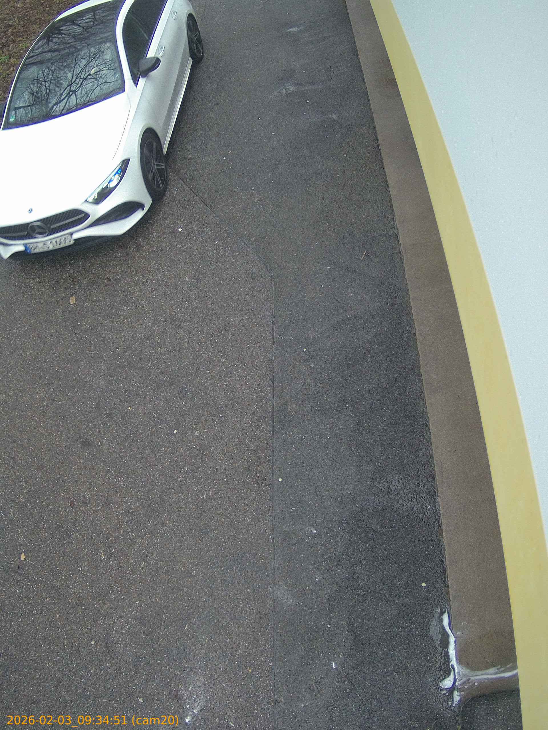 thumbnail_20260203093451