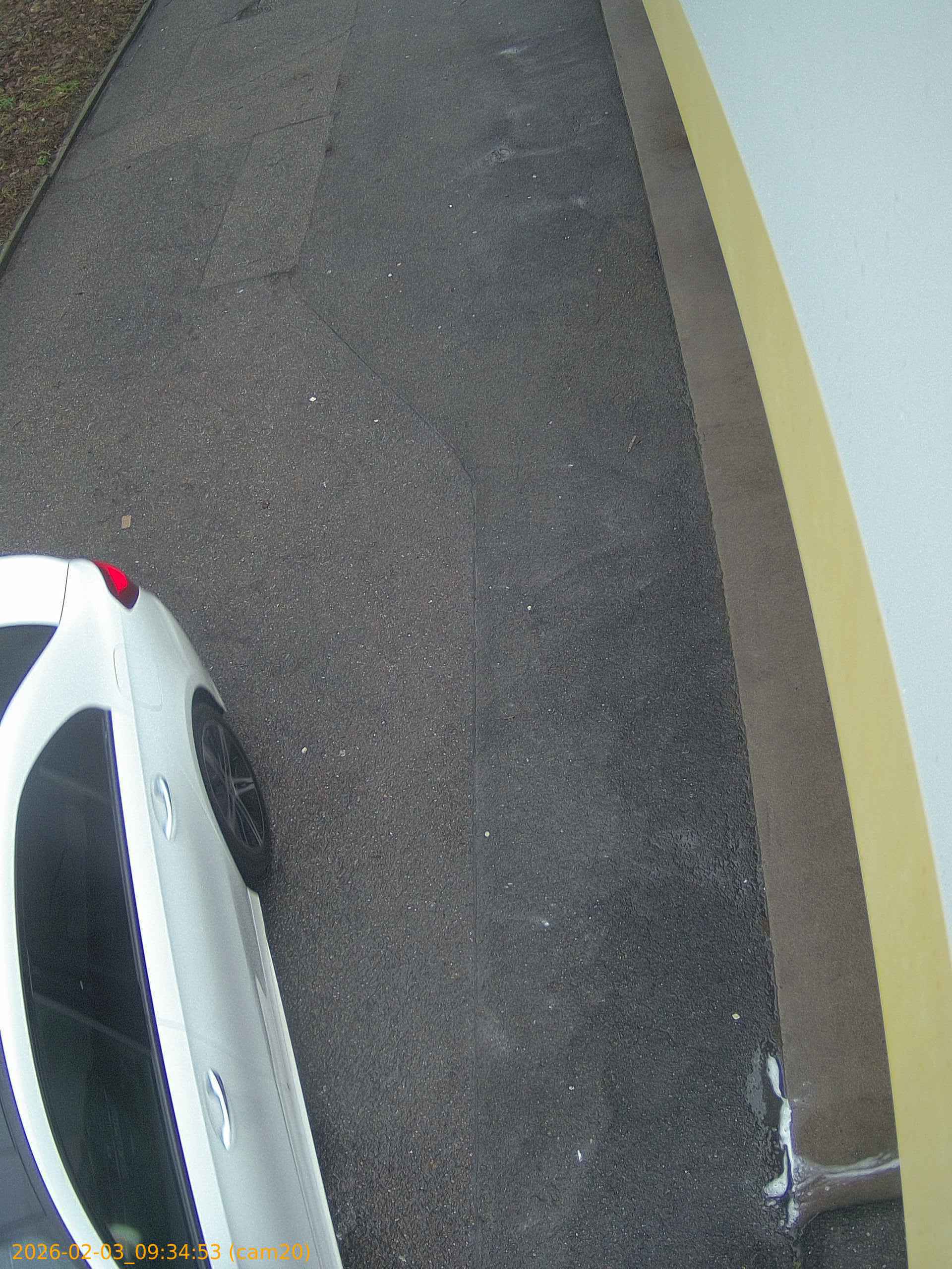 thumbnail_20260203093453