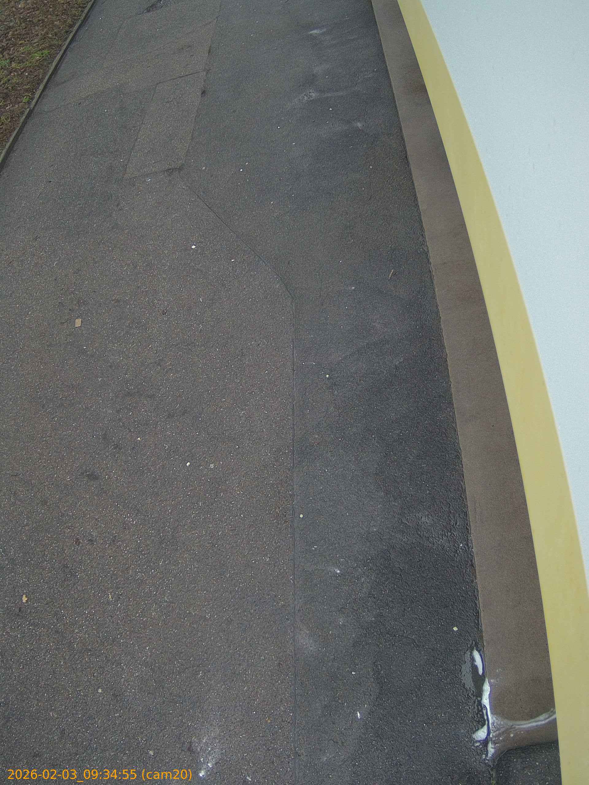 thumbnail_20260203093455