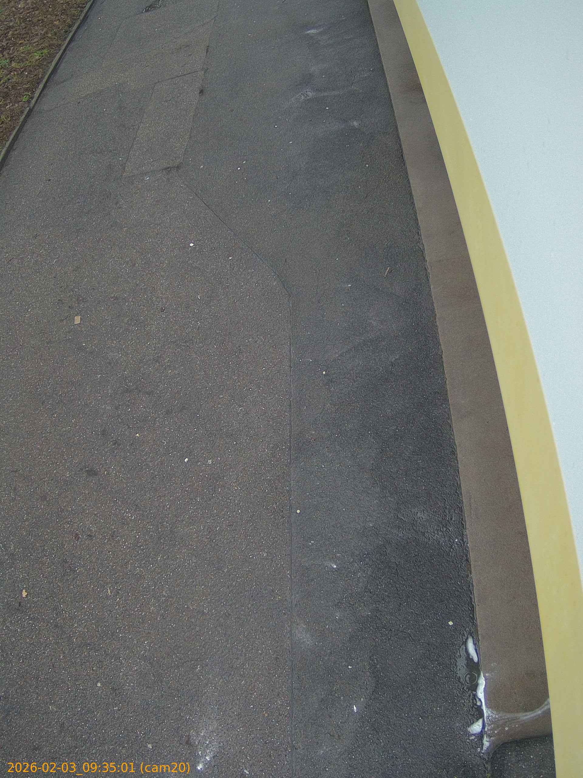 thumbnail_20260203093501