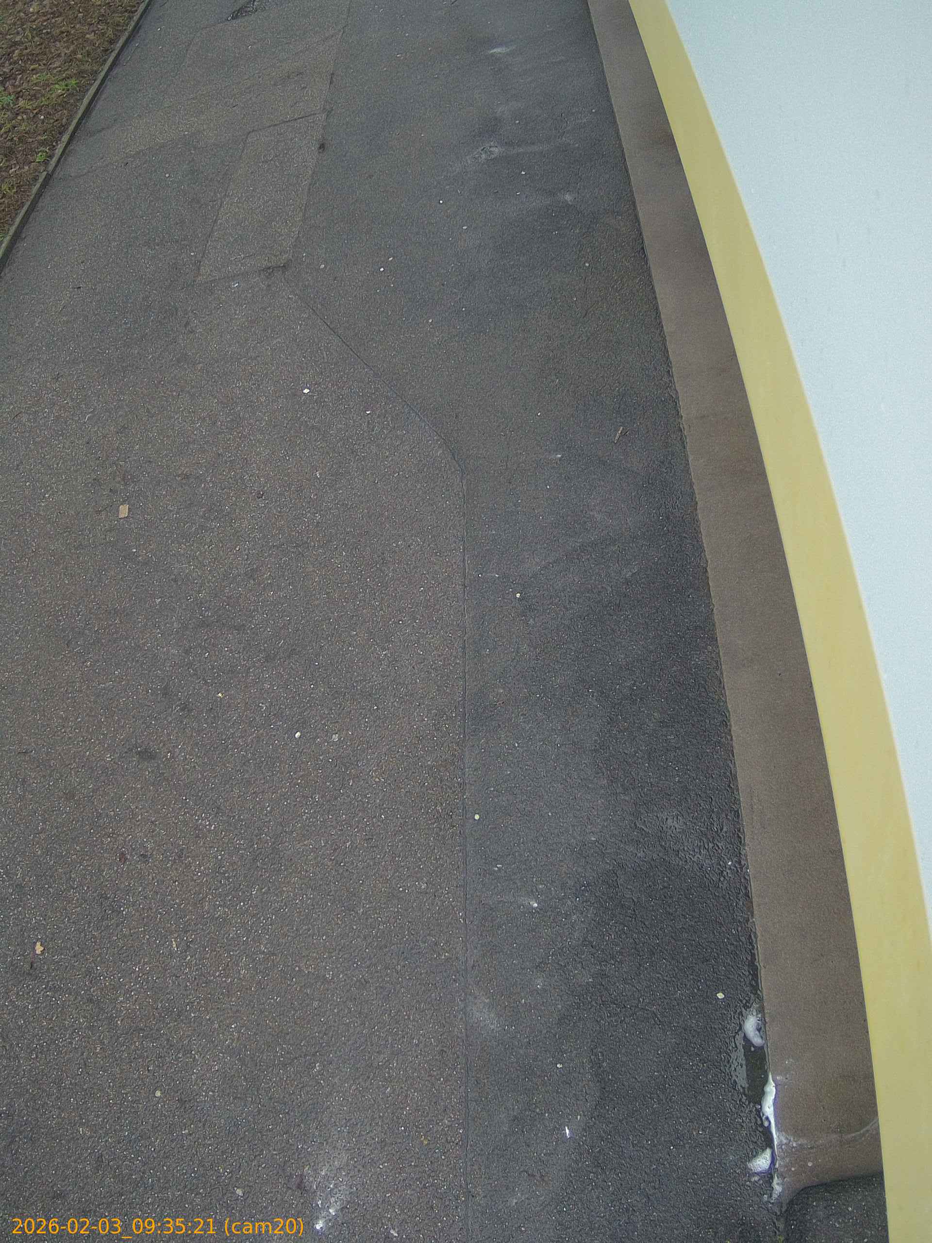 thumbnail_20260203093521