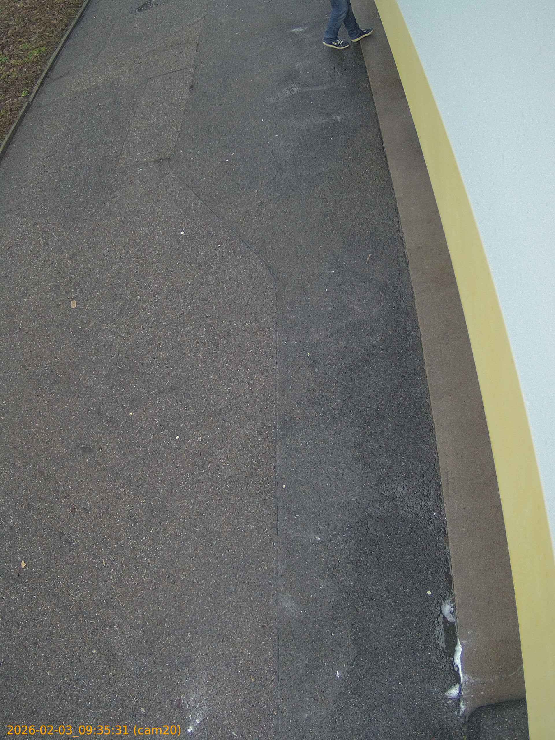 thumbnail_20260203093531