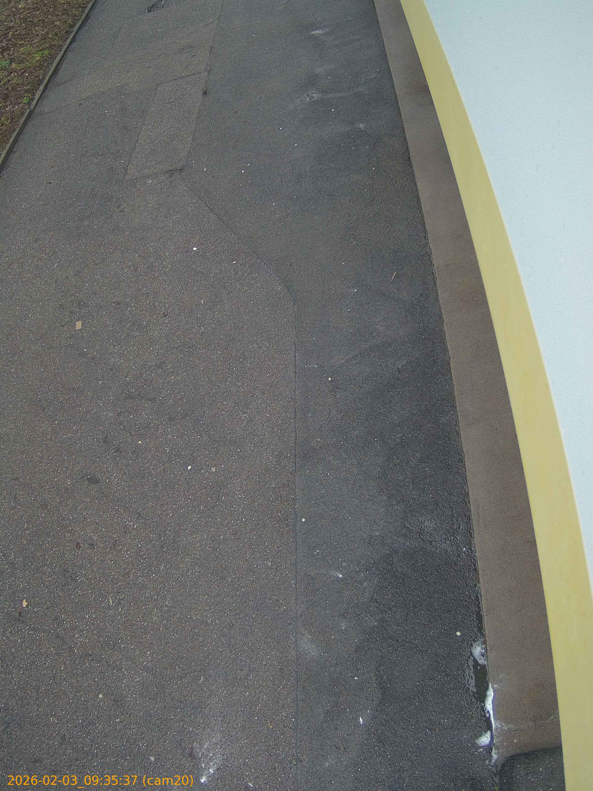 thumbnail_20260203093537