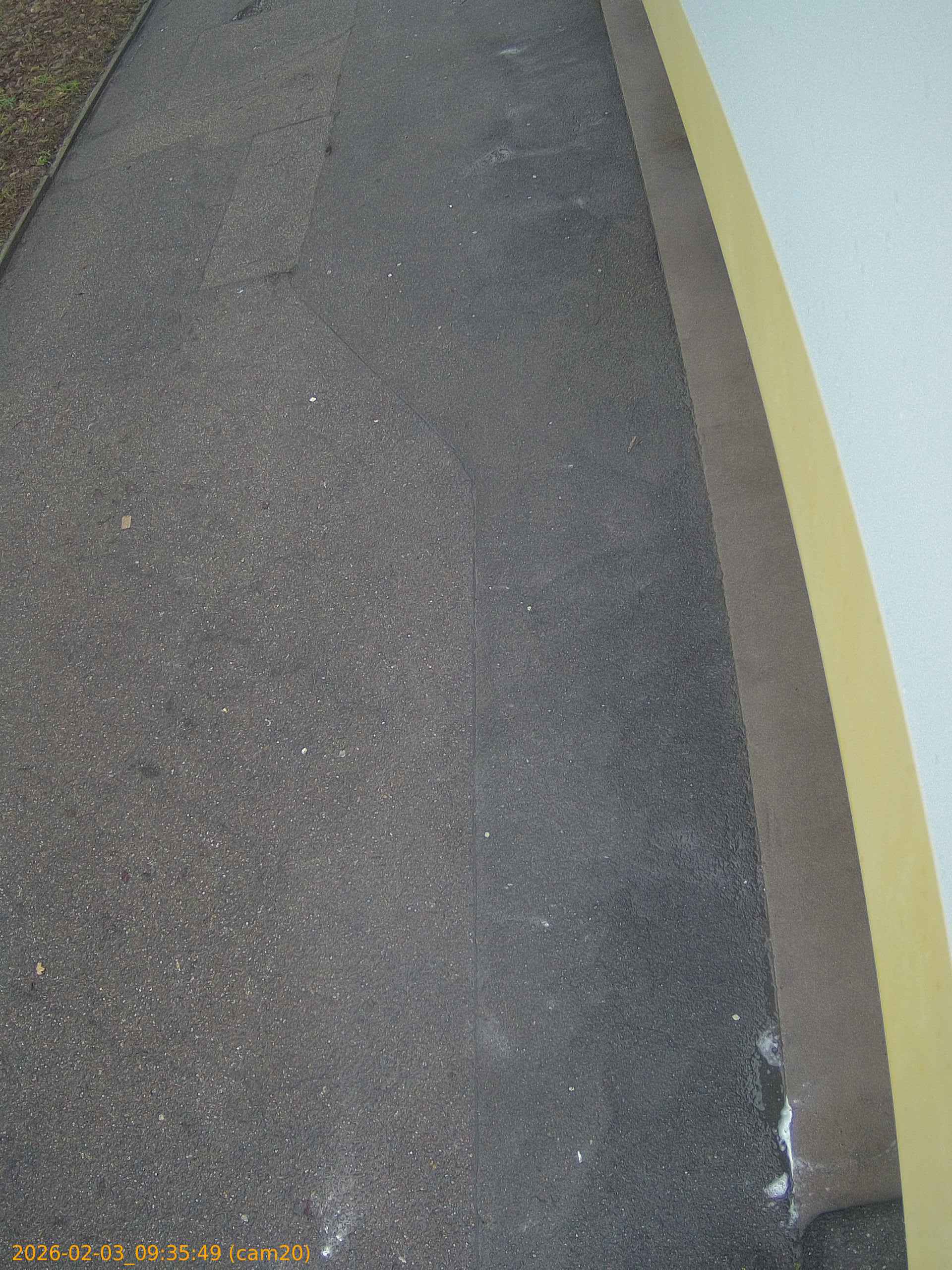 thumbnail_20260203093549