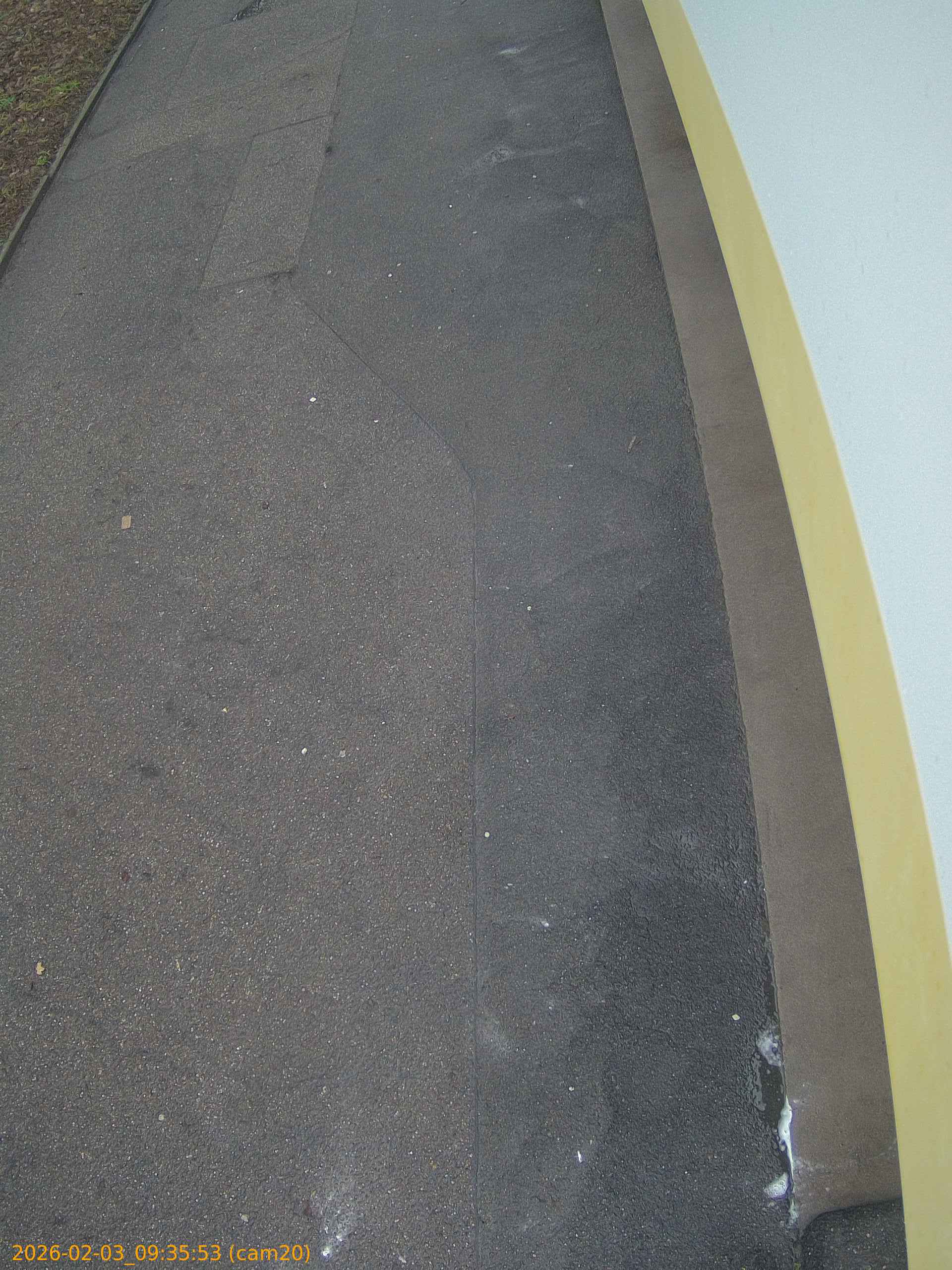 thumbnail_20260203093553