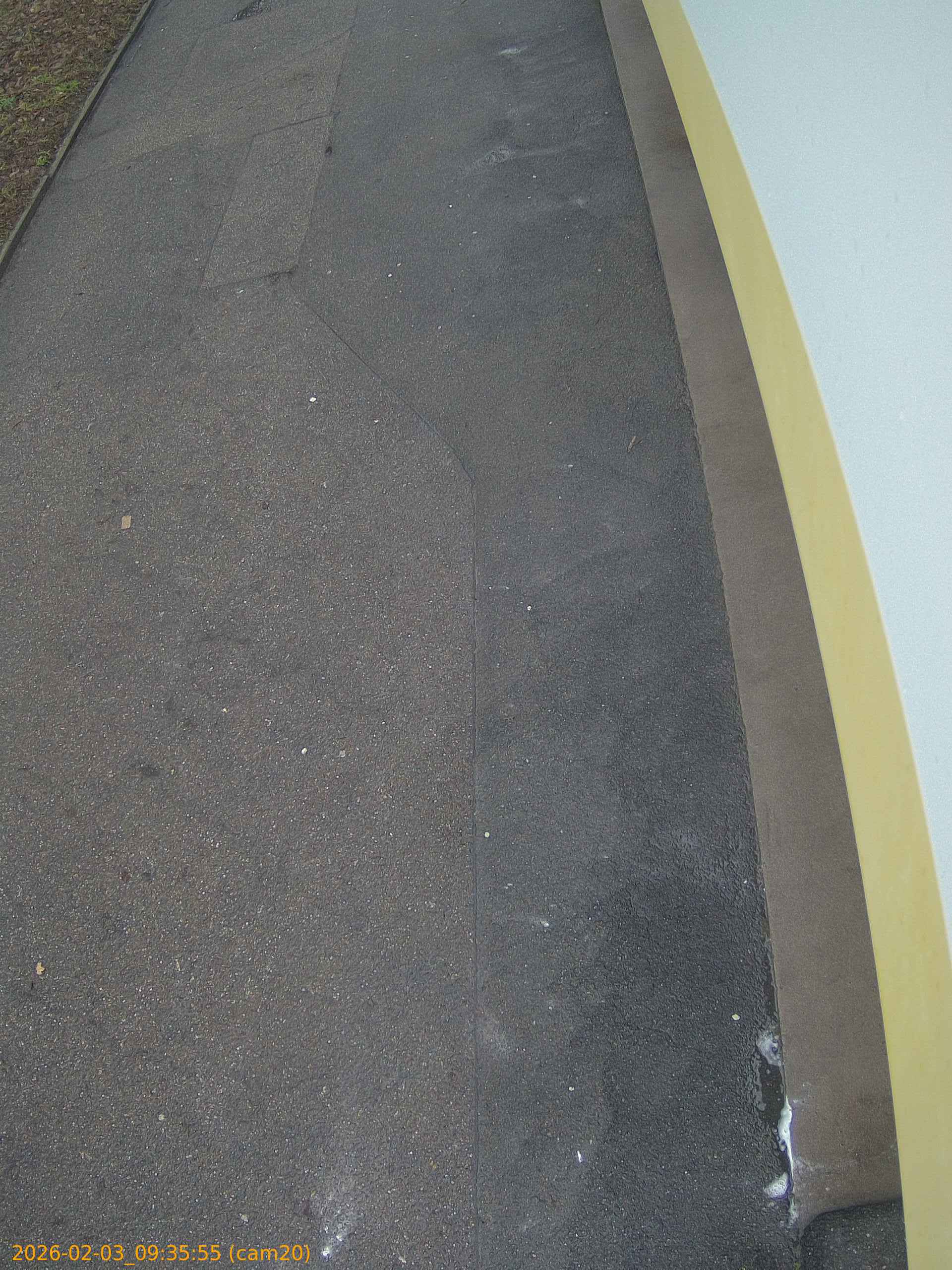 thumbnail_20260203093555