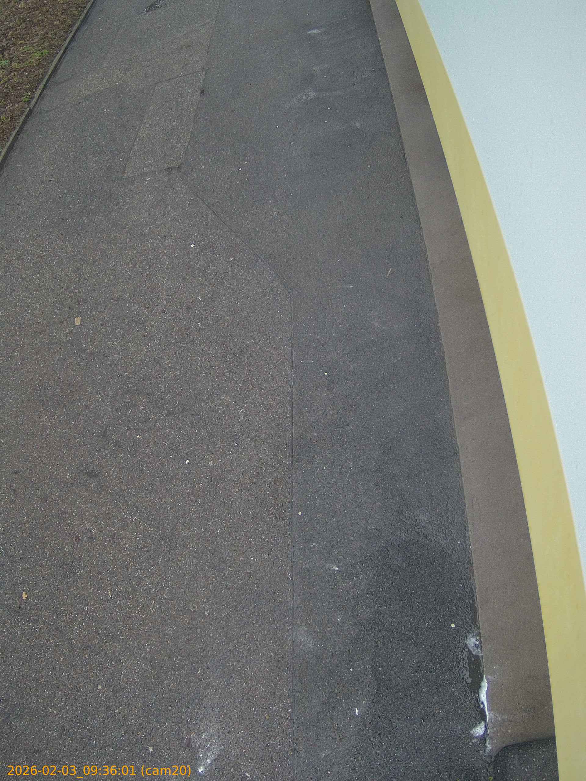 thumbnail_20260203093601