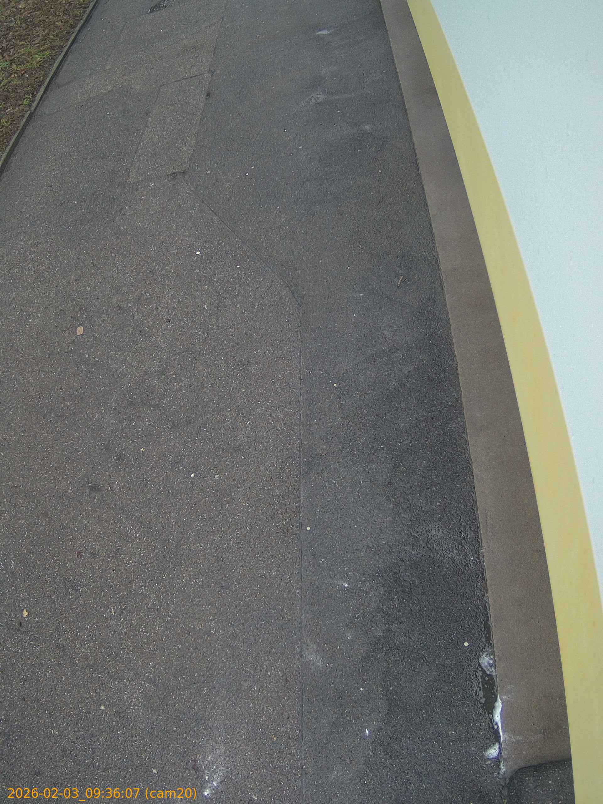 thumbnail_20260203093607