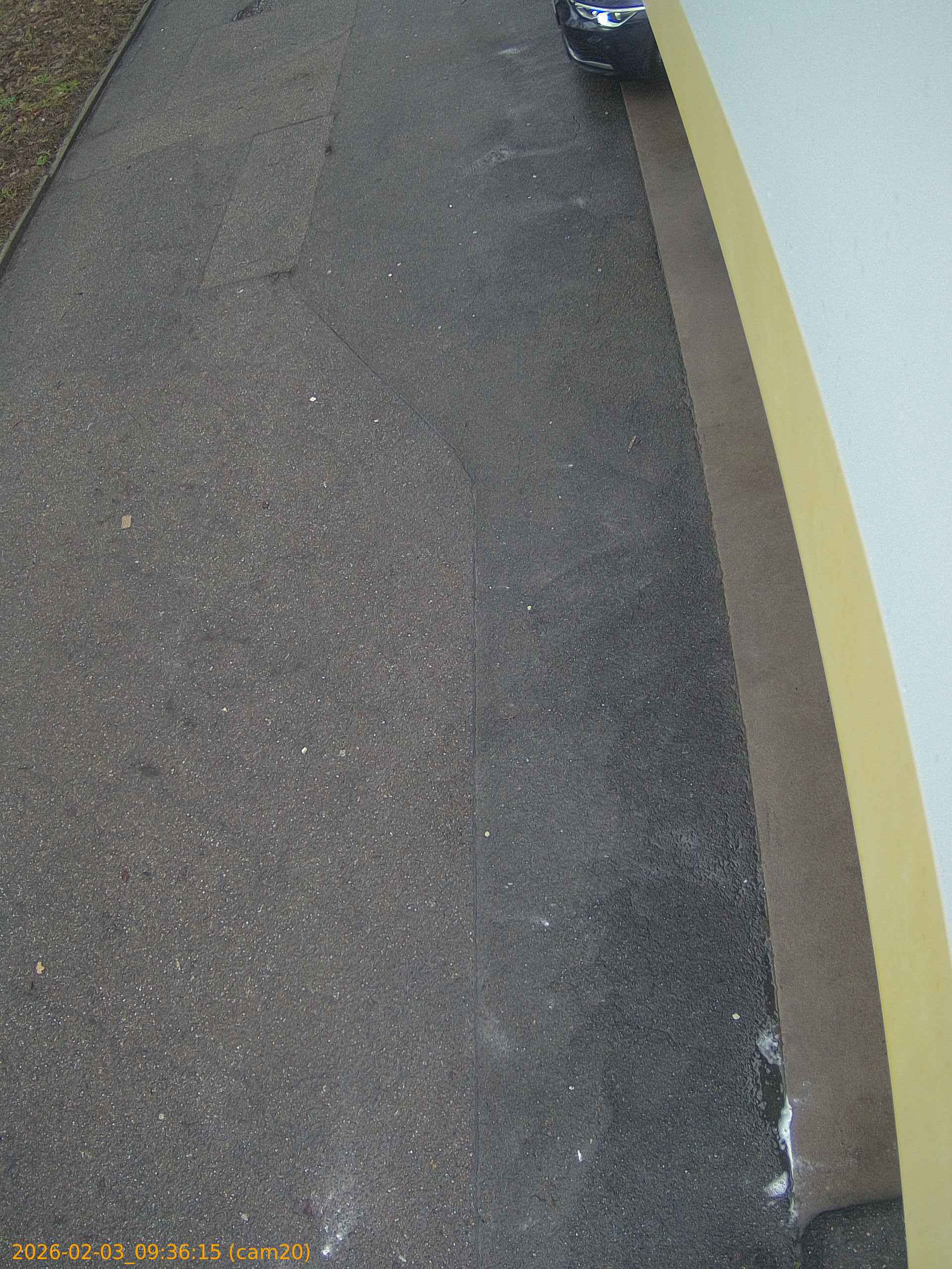 thumbnail_20260203093615