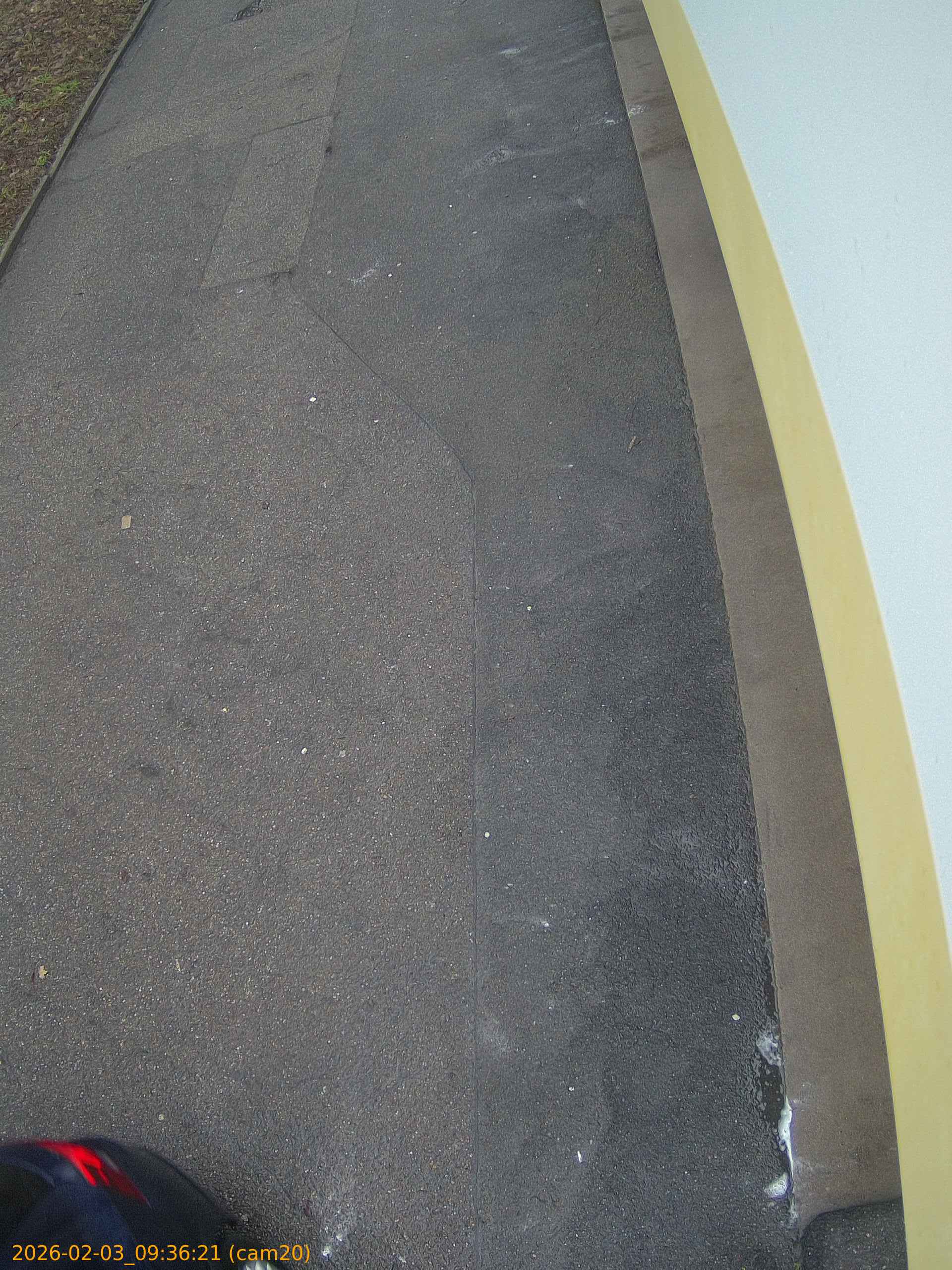 thumbnail_20260203093621