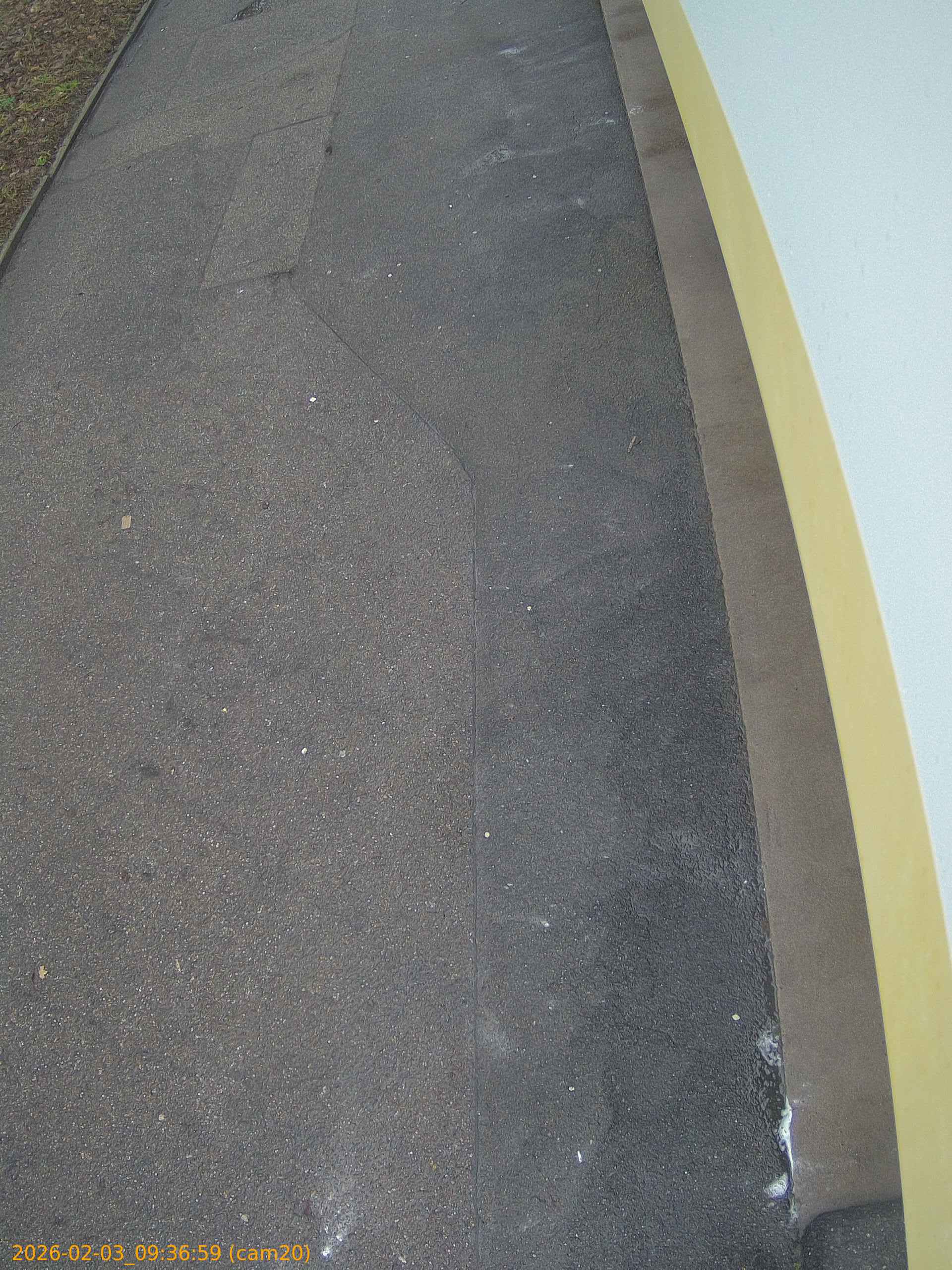 thumbnail_20260203093659