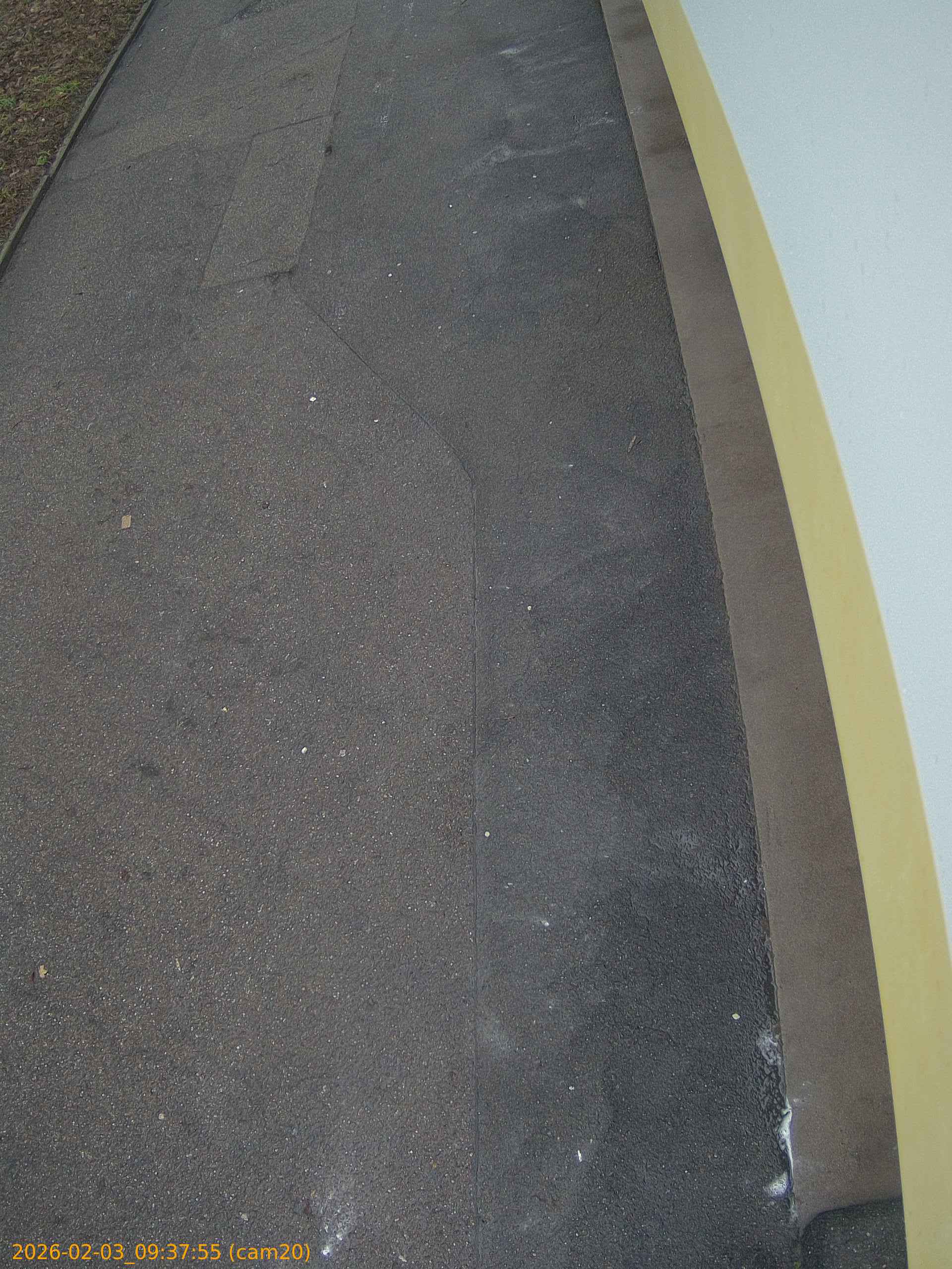 thumbnail_20260203093755