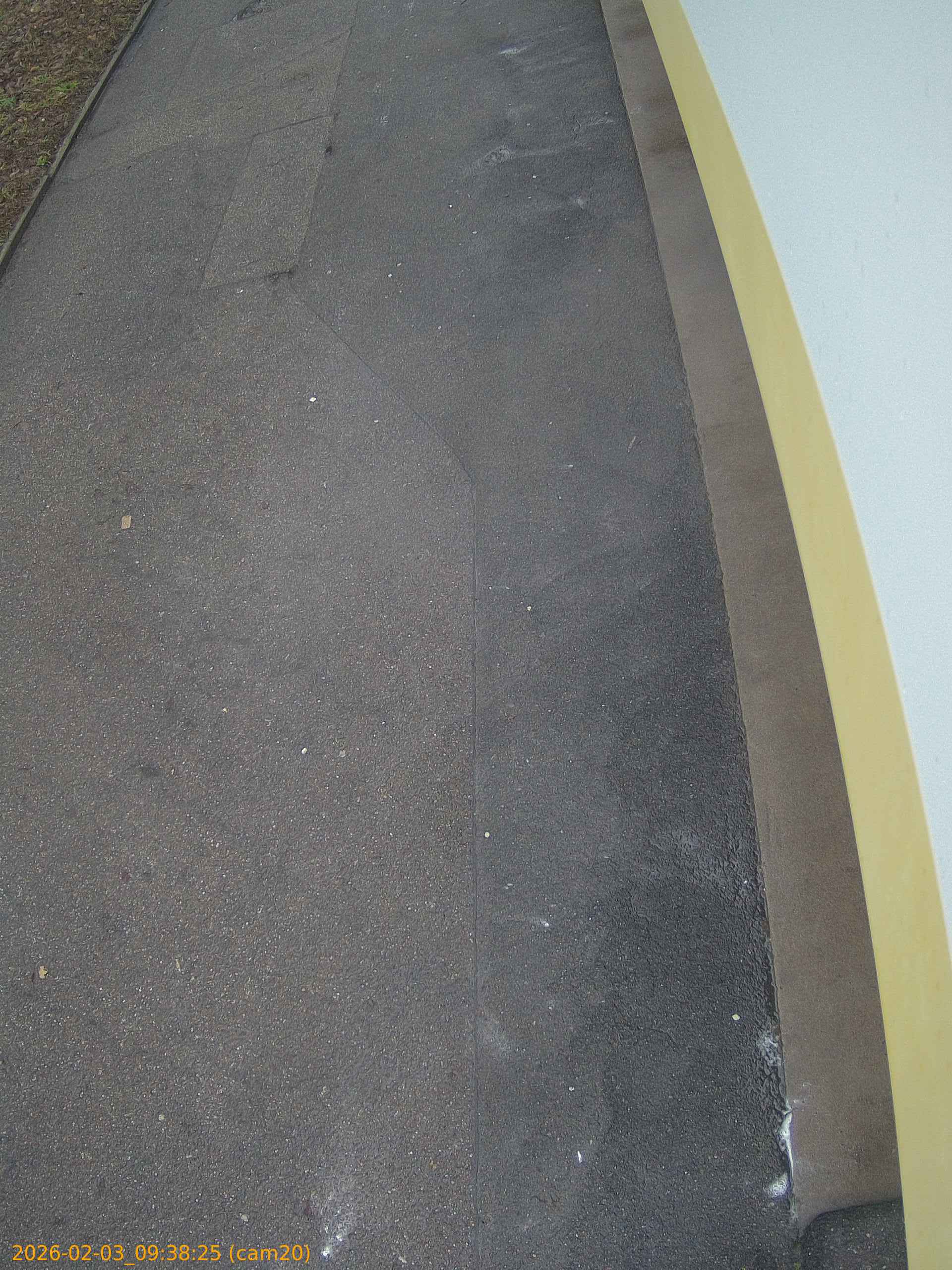 thumbnail_20260203093825