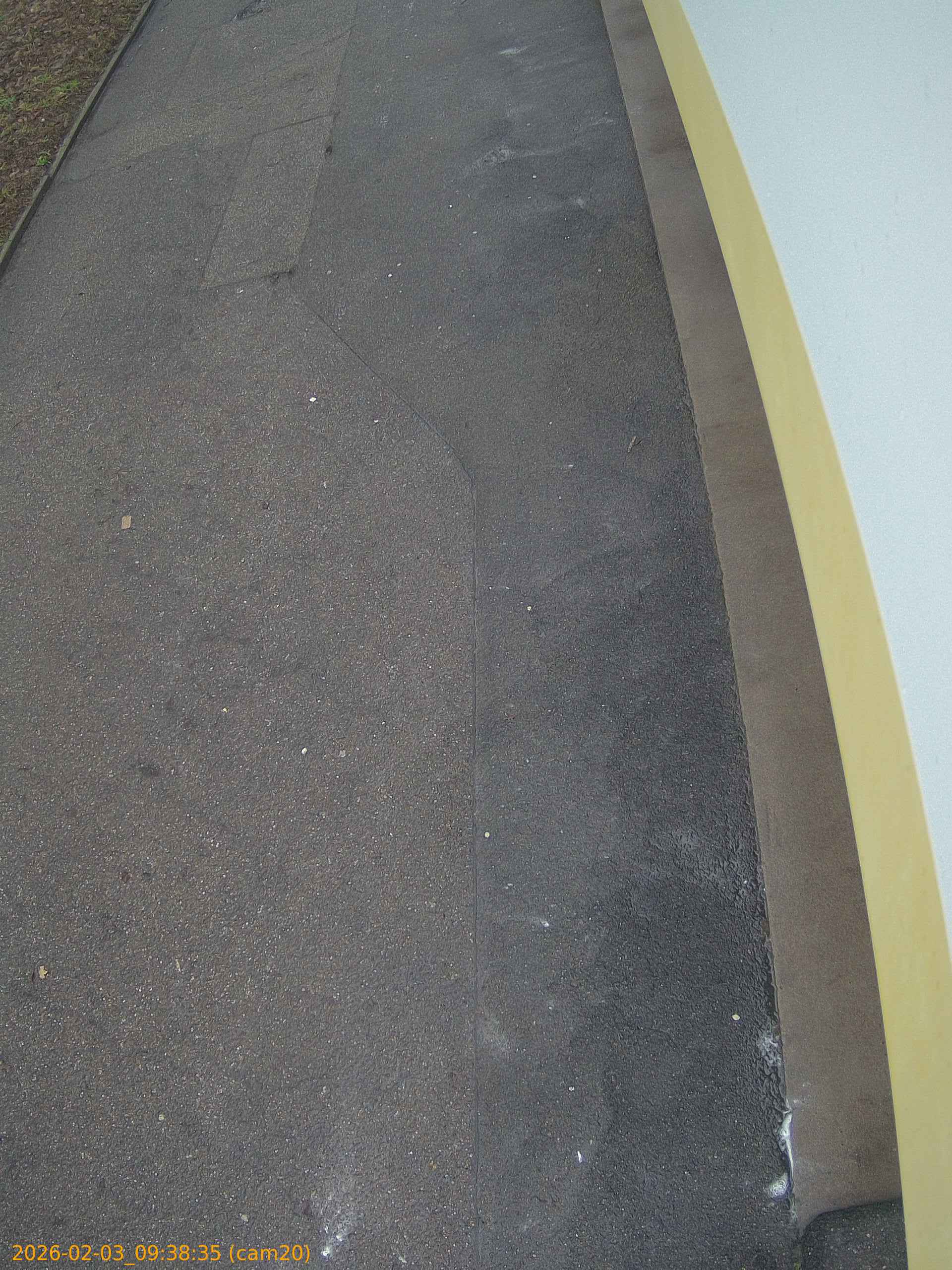 thumbnail_20260203093835