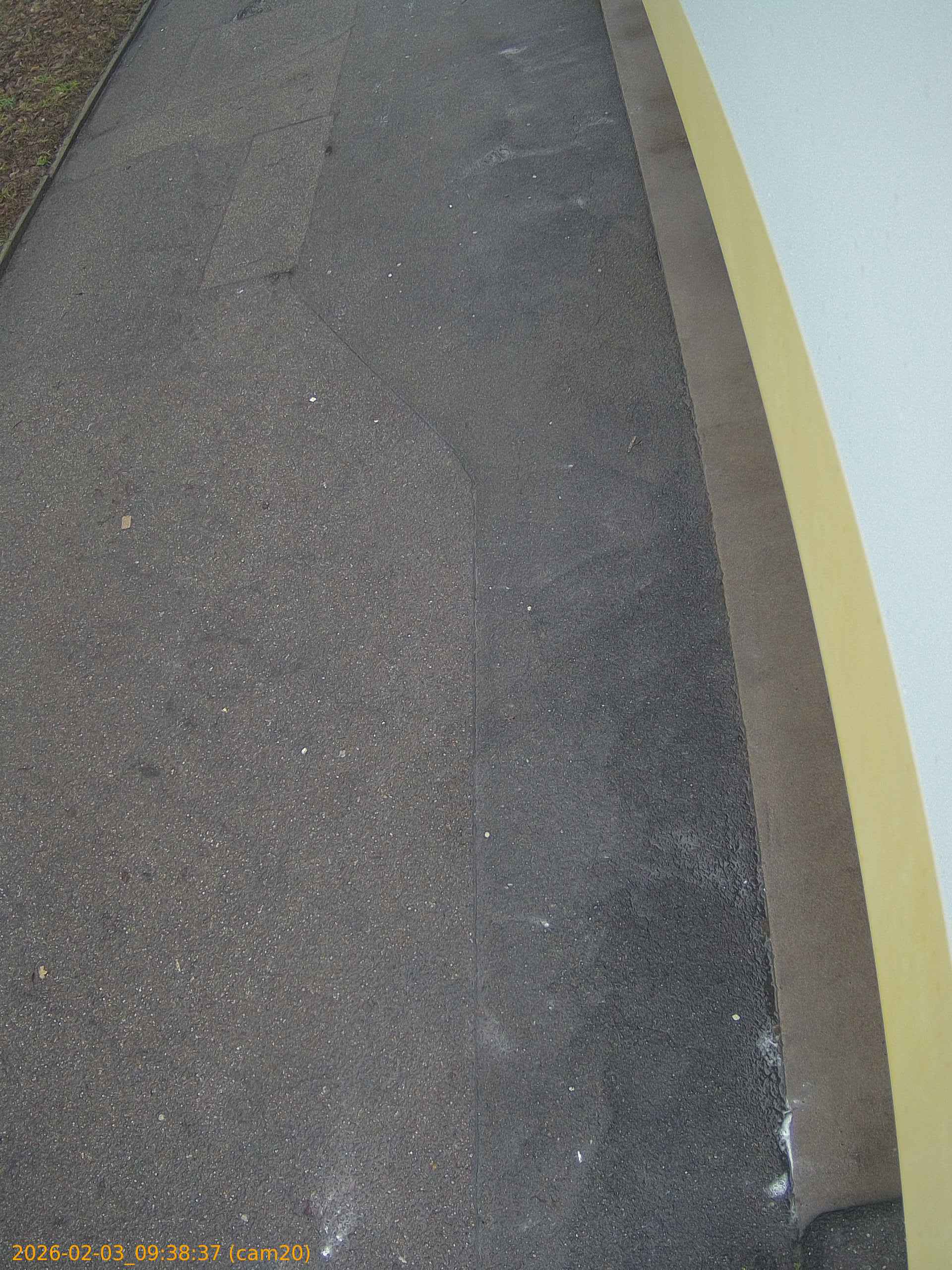 thumbnail_20260203093837