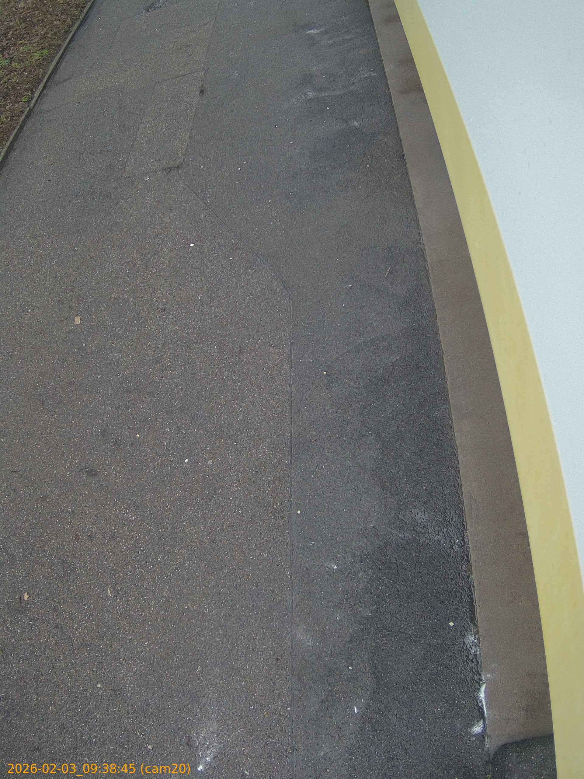 thumbnail_20260203093845