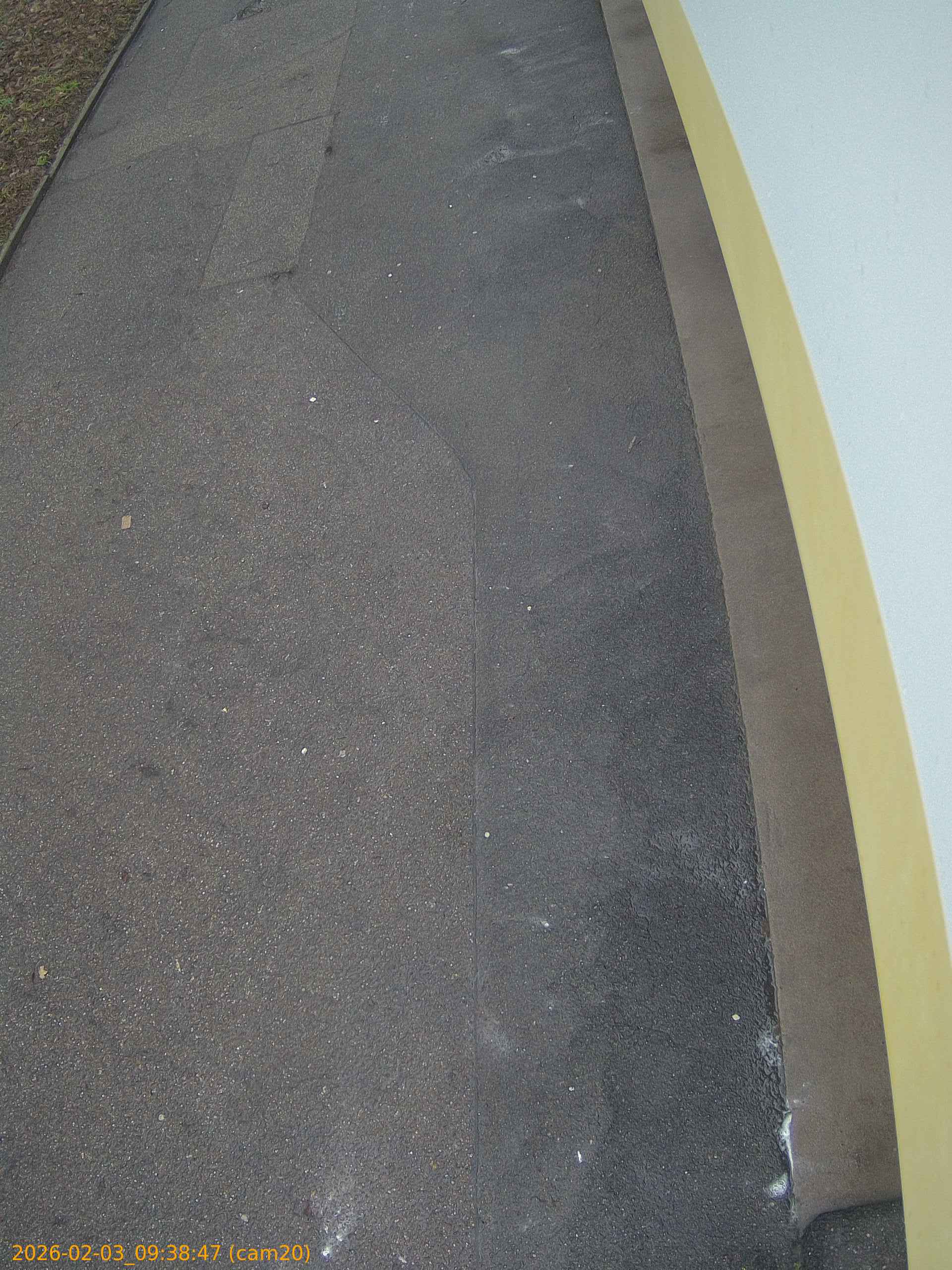 thumbnail_20260203093847