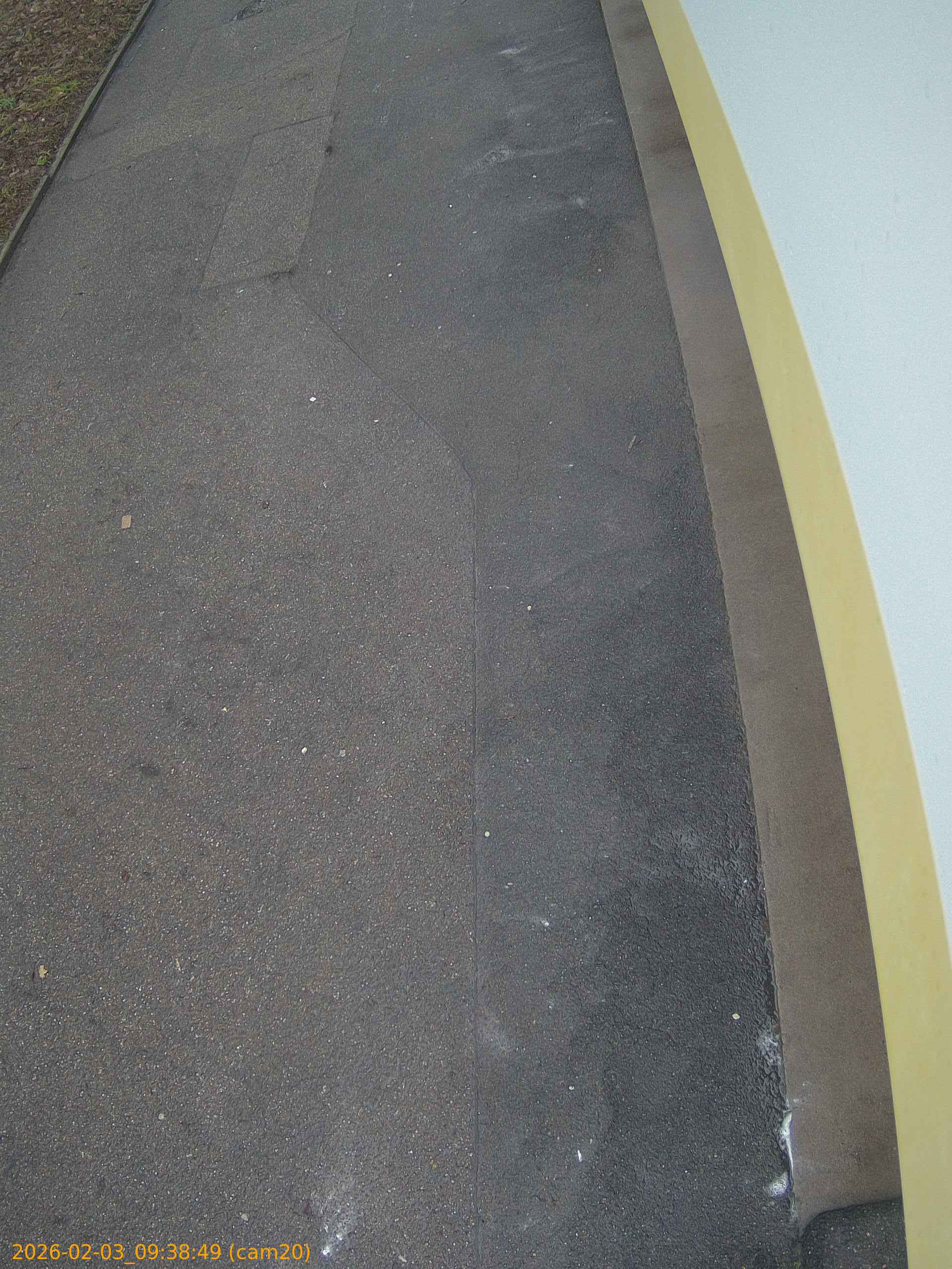 thumbnail_20260203093849