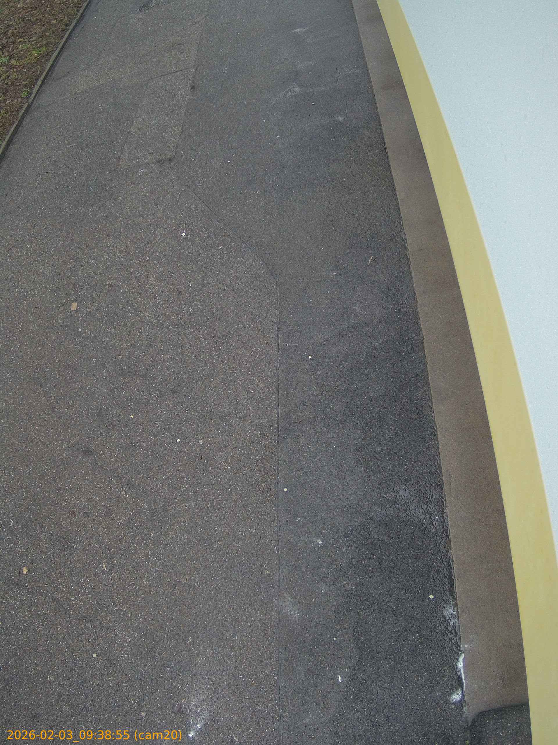 thumbnail_20260203093855