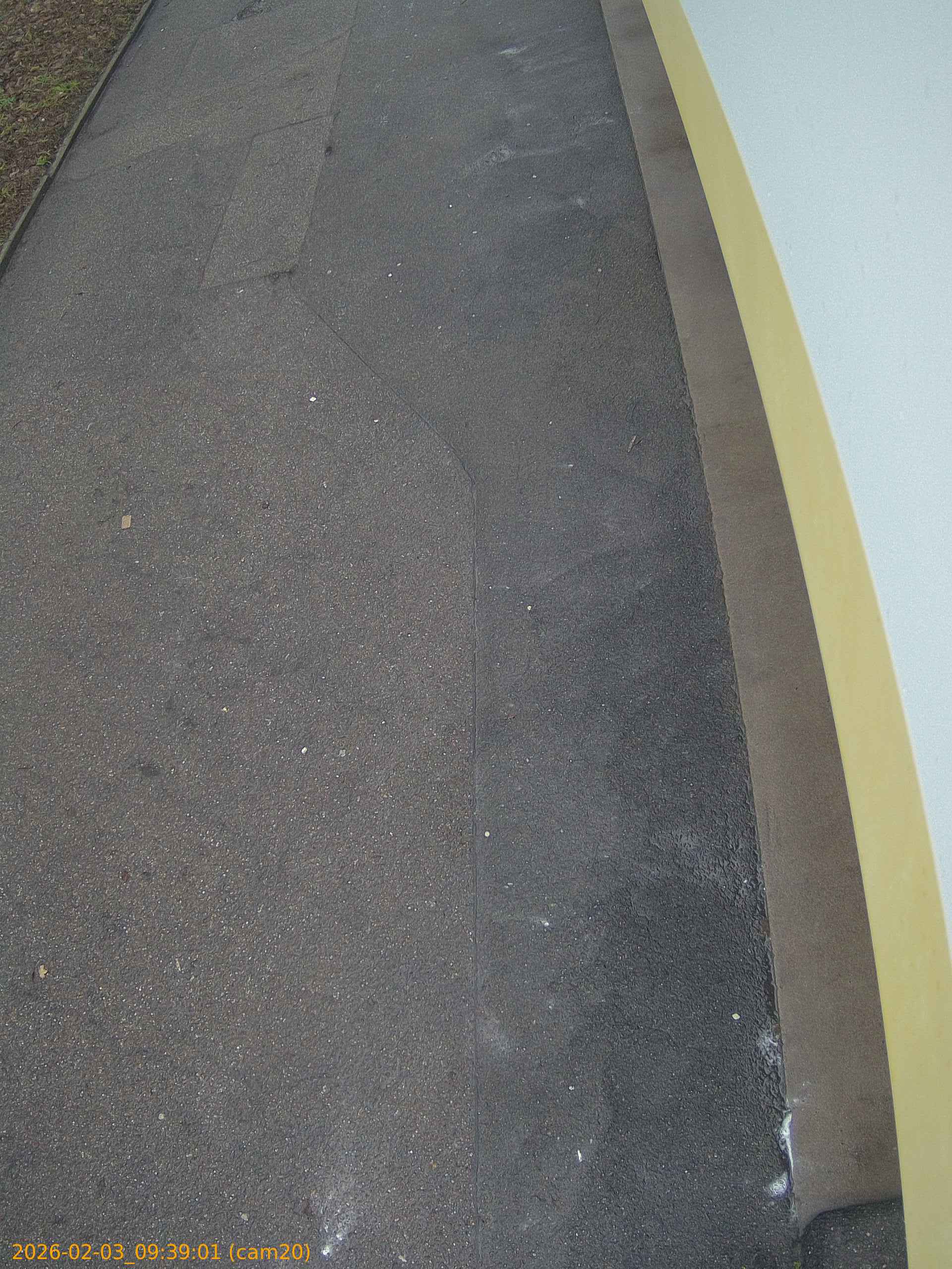 thumbnail_20260203093901