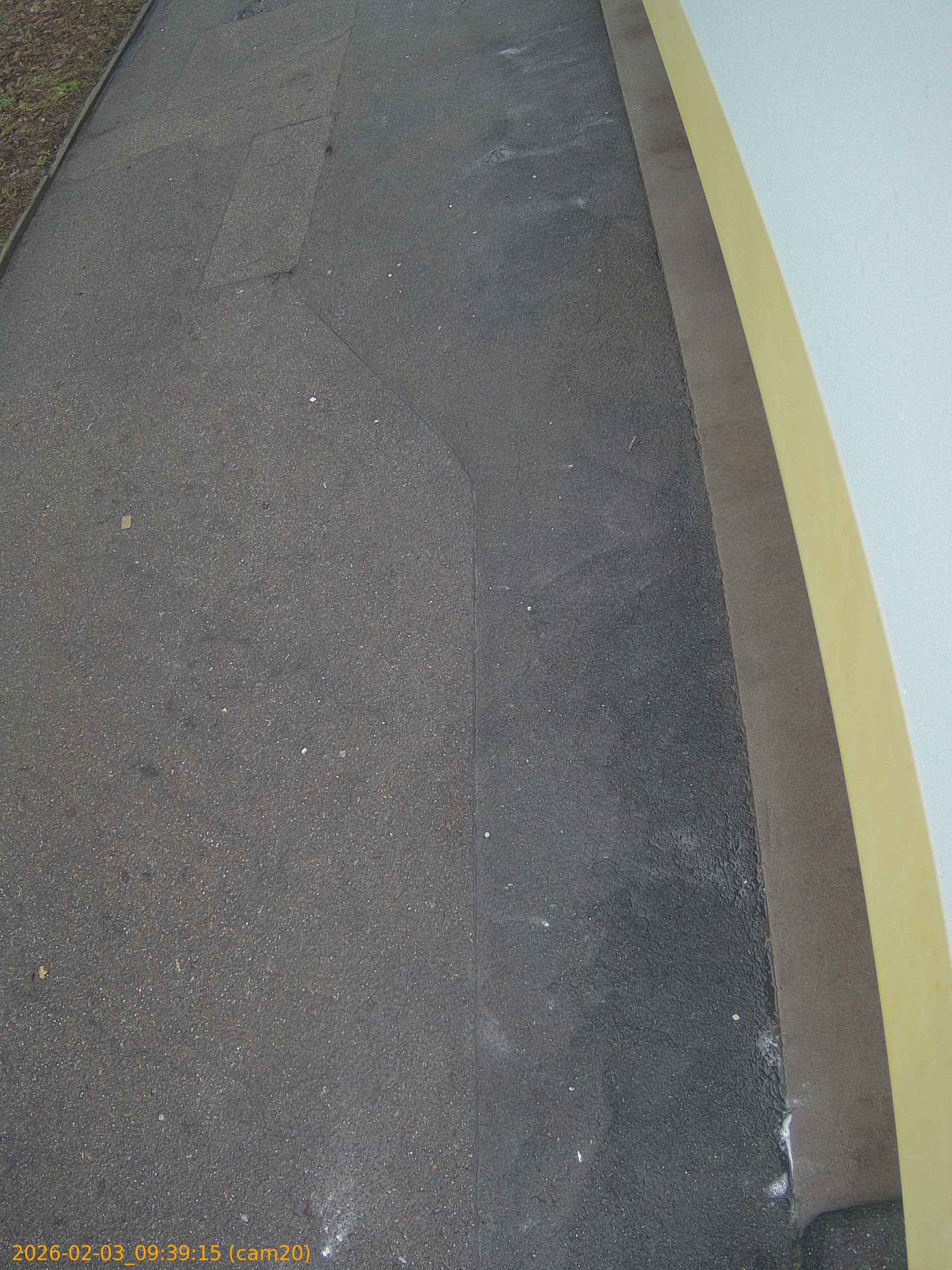 thumbnail_20260203093915