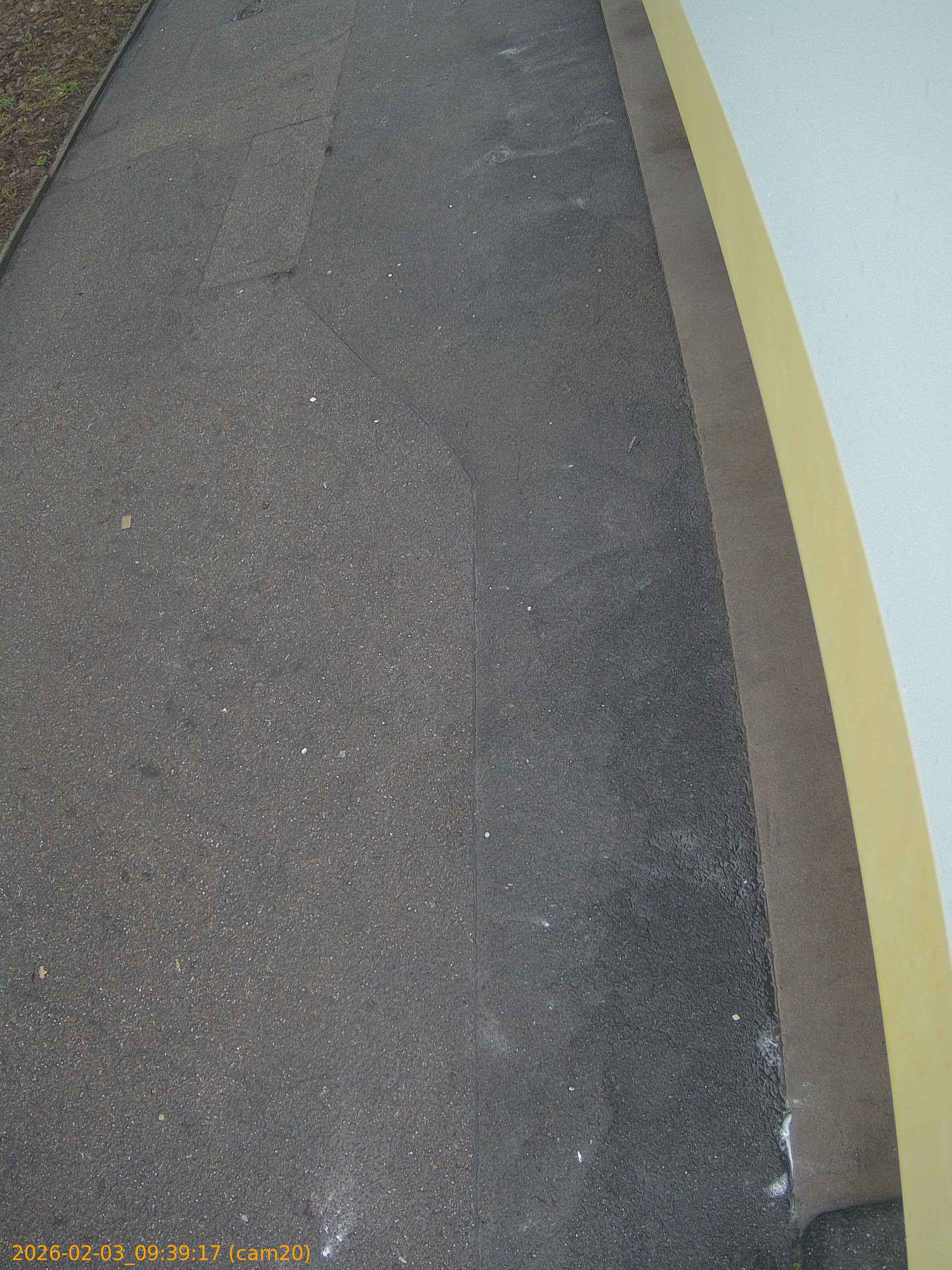 thumbnail_20260203093917