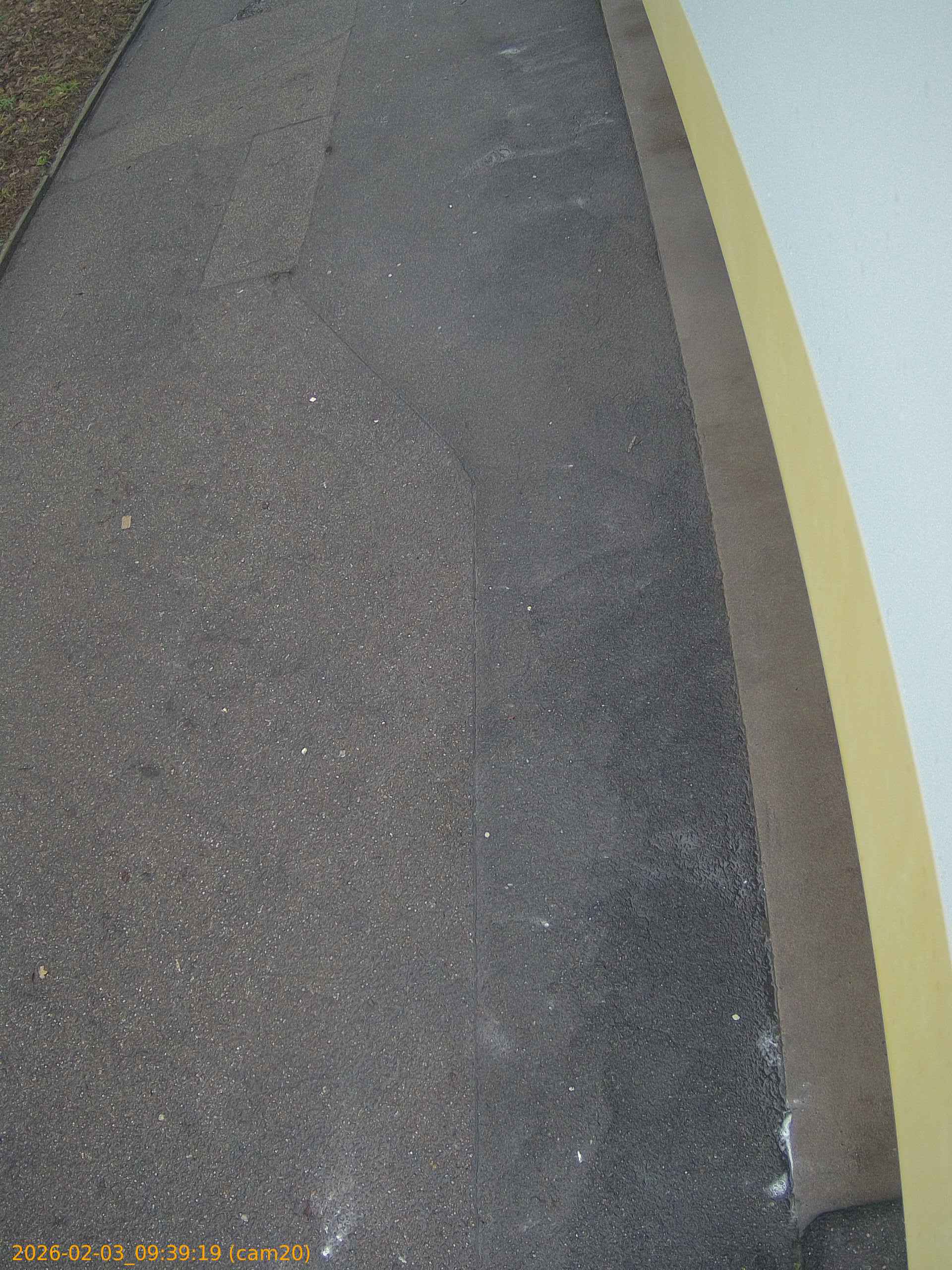 thumbnail_20260203093919