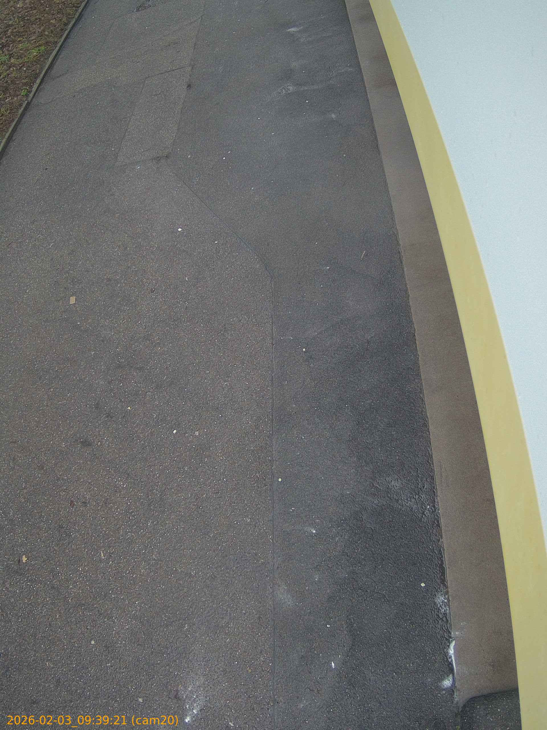 thumbnail_20260203093921