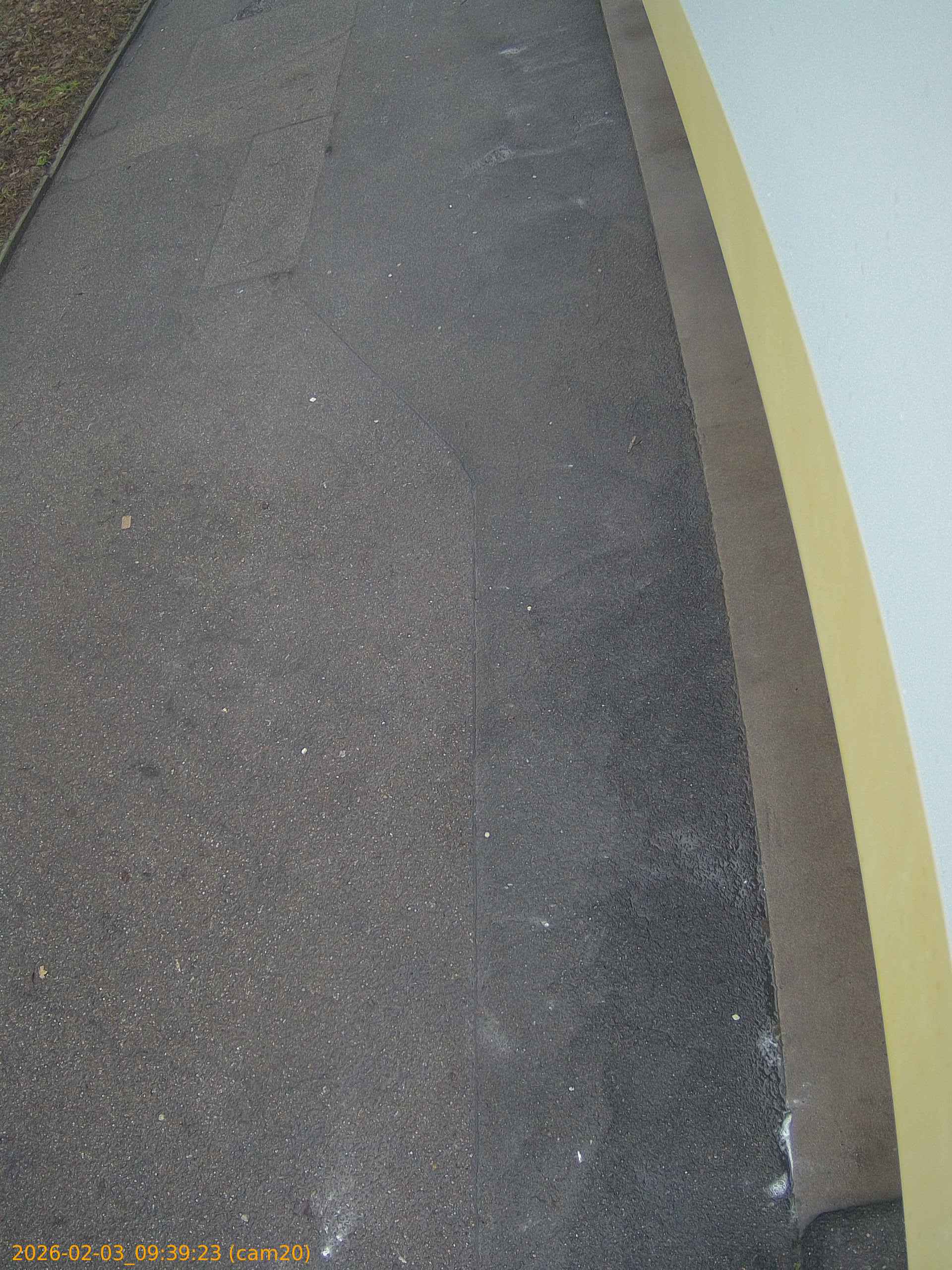 thumbnail_20260203093923