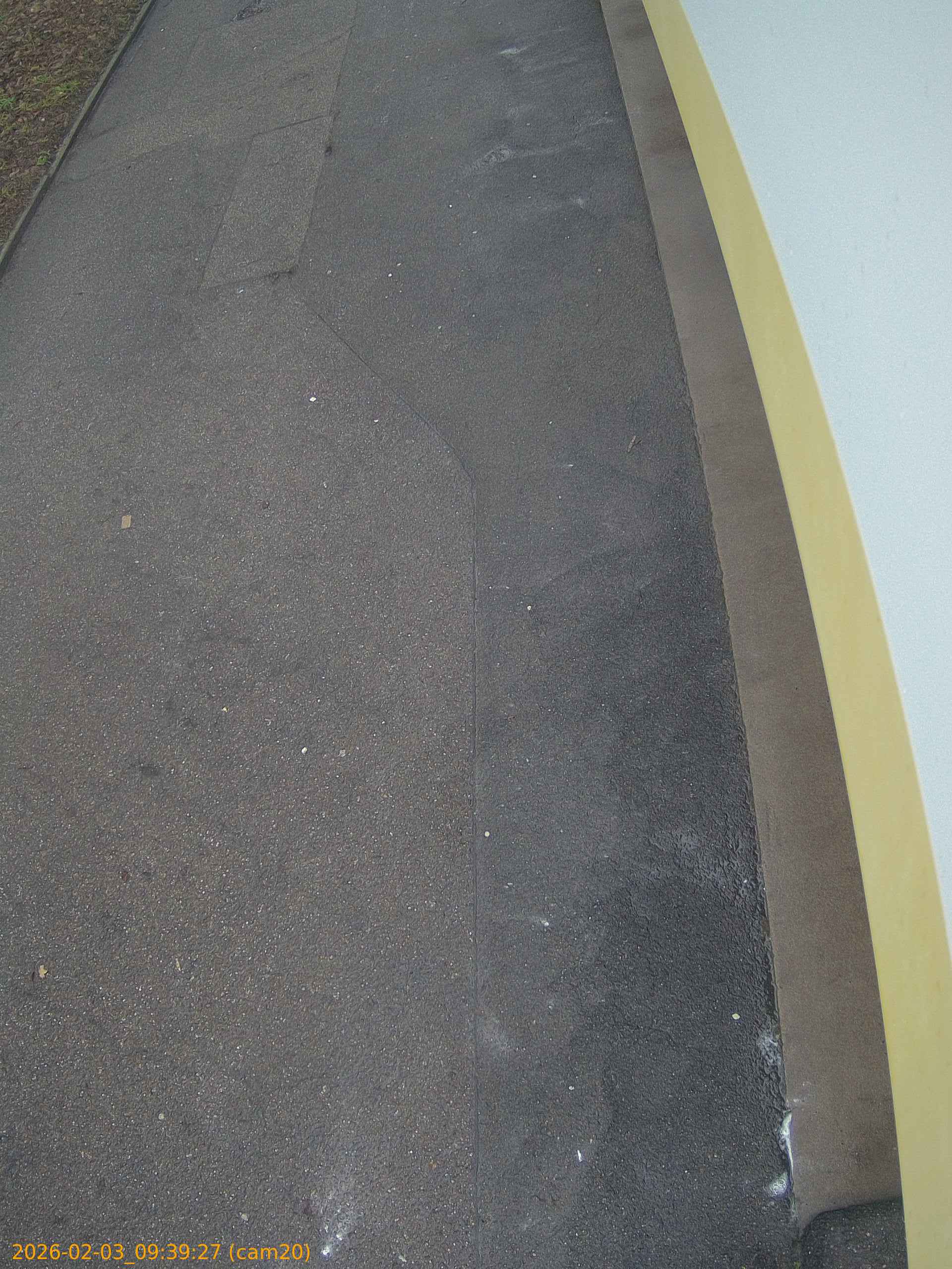 thumbnail_20260203093927