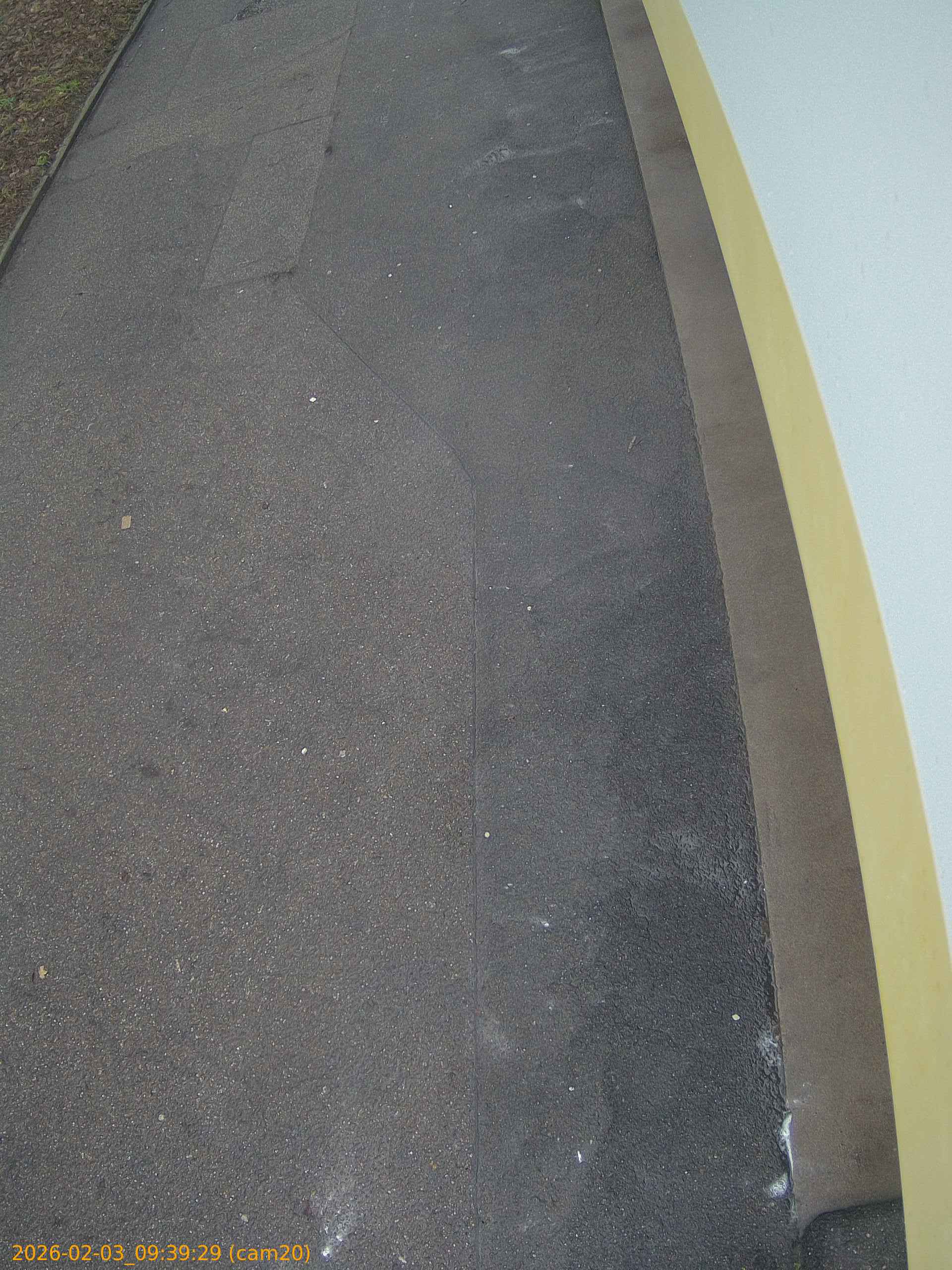 thumbnail_20260203093929