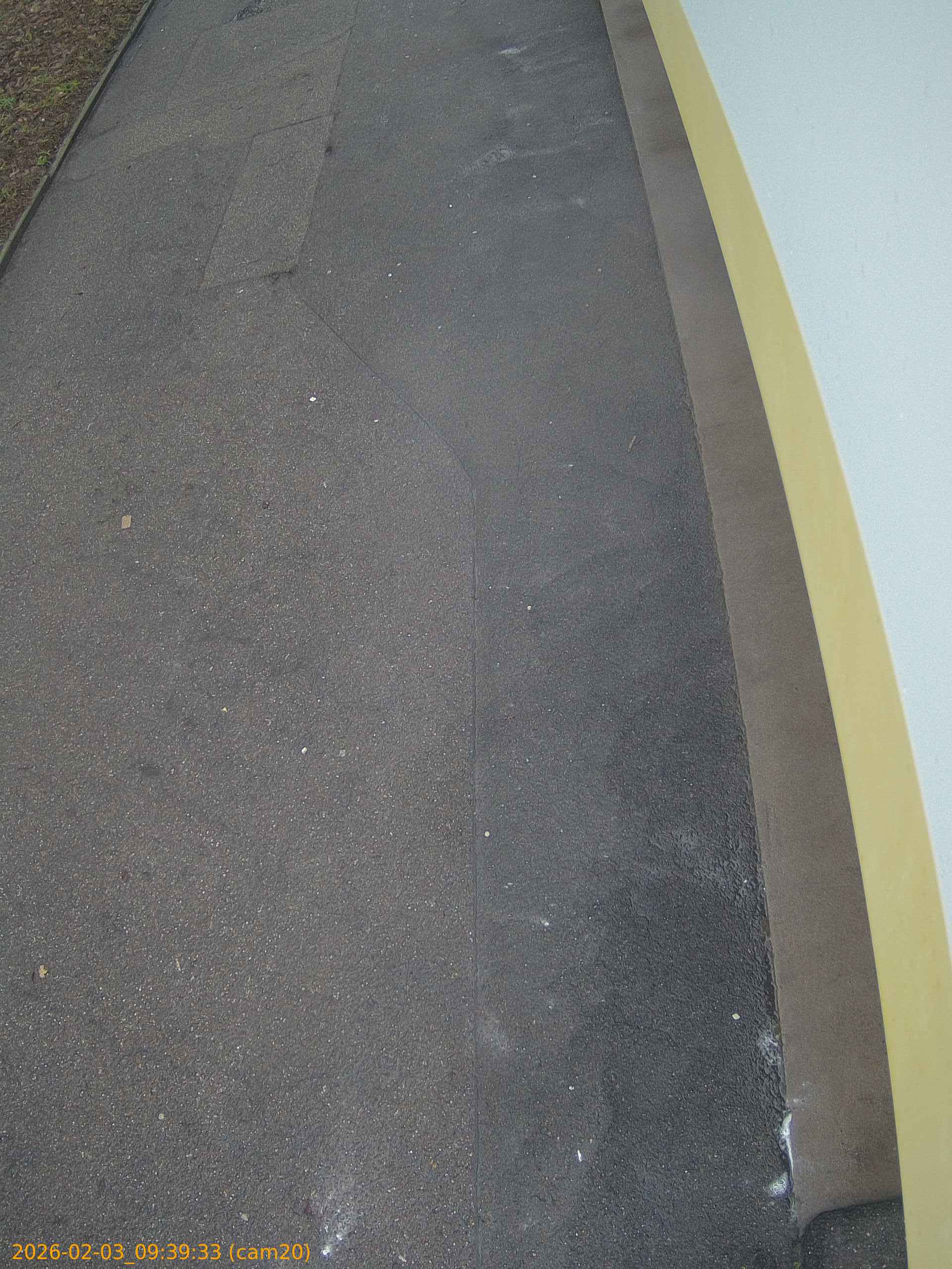 thumbnail_20260203093933